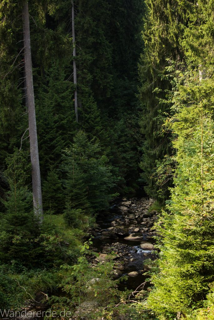 Dreibrodesteine Wanderung im Harz bei Sankt Andreasberg, Weg durch das schöne Siebertal