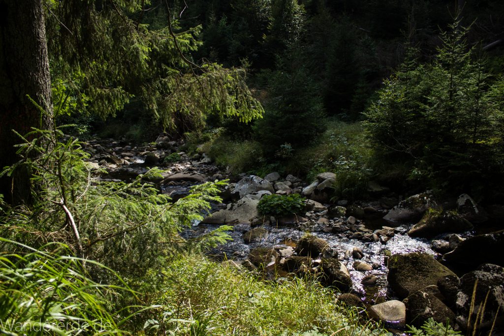 Dreibrodesteine Wanderung im Harz bei Sankt Andreasberg, Weg durch das schöne Siebertal