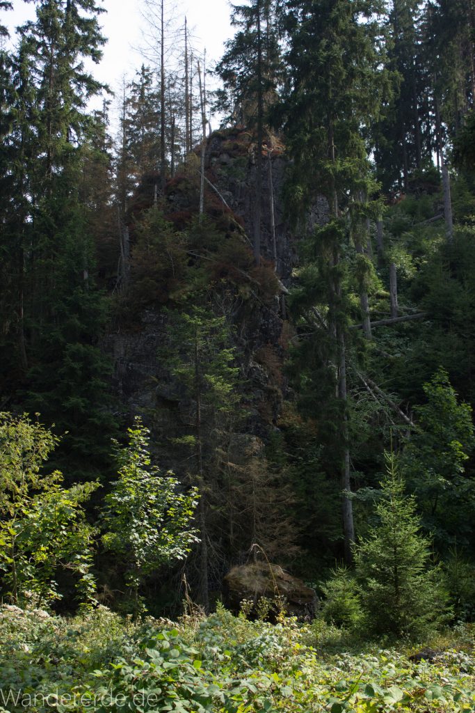 Dreibrodesteine Wanderung im Harz bei Sankt Andreasberg, Weg durch das schöne Siebertal