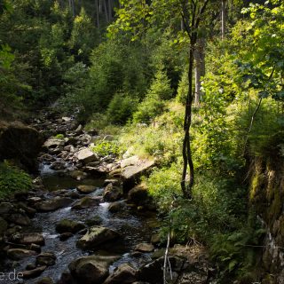 Dreibrodesteine Wanderung im Harz bei Sankt Andreasberg, Weg durch das schöne Siebertal