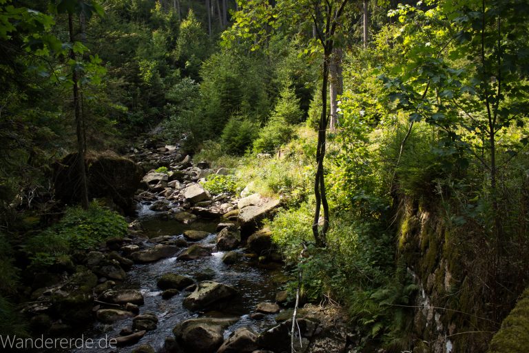 Dreibrodesteine Wanderung im Harz bei Sankt Andreasberg, Weg durch das schöne Siebertal