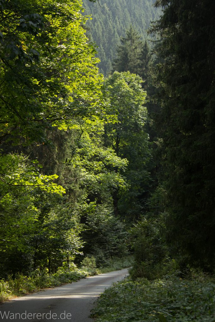 Dreibrodesteine Wanderung im Harz bei Sankt Andreasberg, Weg durch das schöne Siebertal
