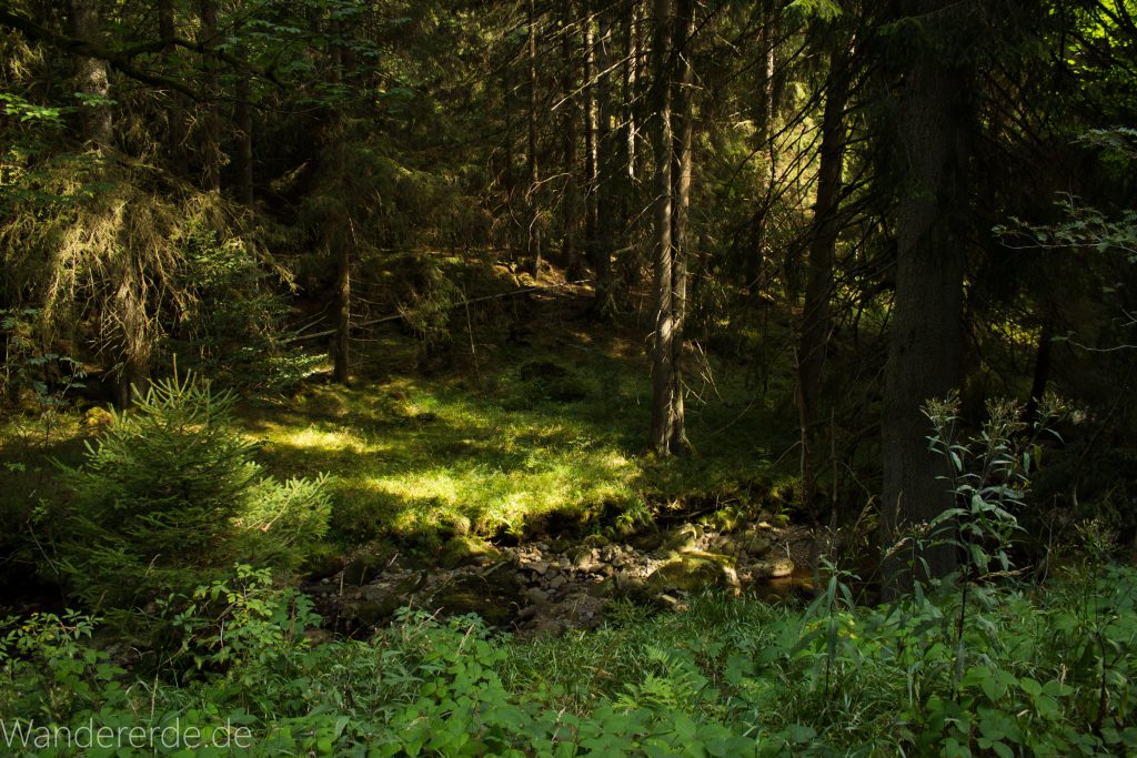 Dreibrodesteine Wanderung im Harz bei Sankt Andreasberg, Weg durch das schöne Siebertal