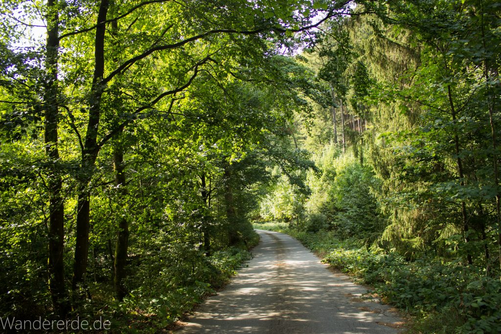 Dreibrodesteine Wanderung im Harz bei Sankt Andreasberg, Weg durch das schöne Siebertal