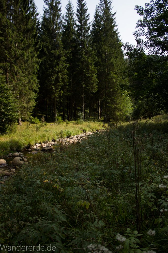 Dreibrodesteine Wanderung im Harz bei Sankt Andreasberg