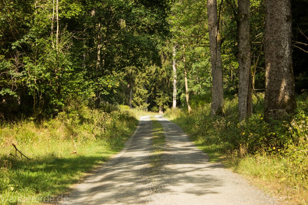 Dreibrodesteine Wanderung im Harz bei Sankt Andreasberg