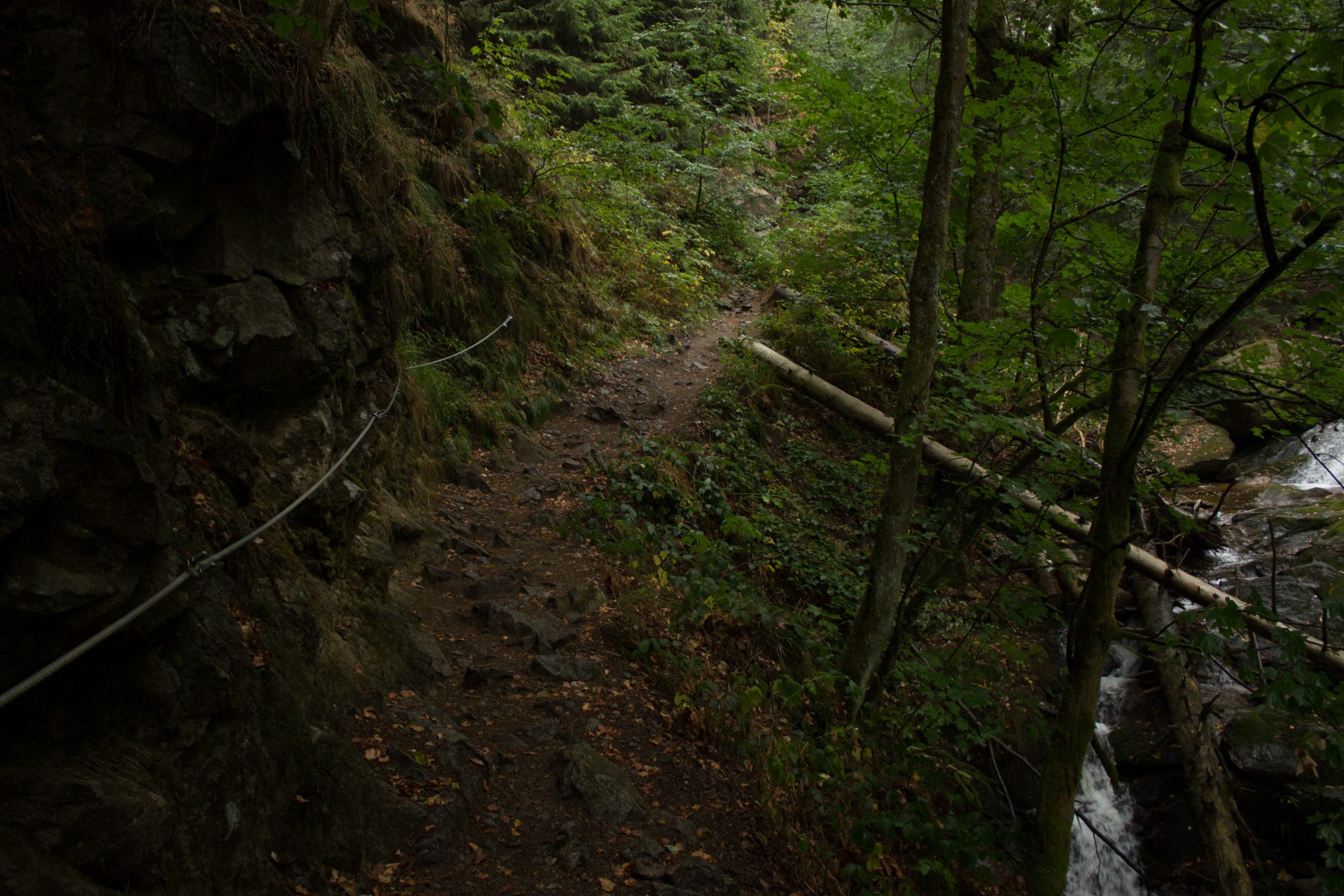 Wanderung Brocken über Heinrich-Heine-Weg, Start in Ilsenburg, Nationalpark Harz, schöner Wanderweg im Wald entlang des Fluß Ilse, atmosphärisch, herrliche frische Luft, viele Laubbäume, über Stock und Stein über schmalen Pfad