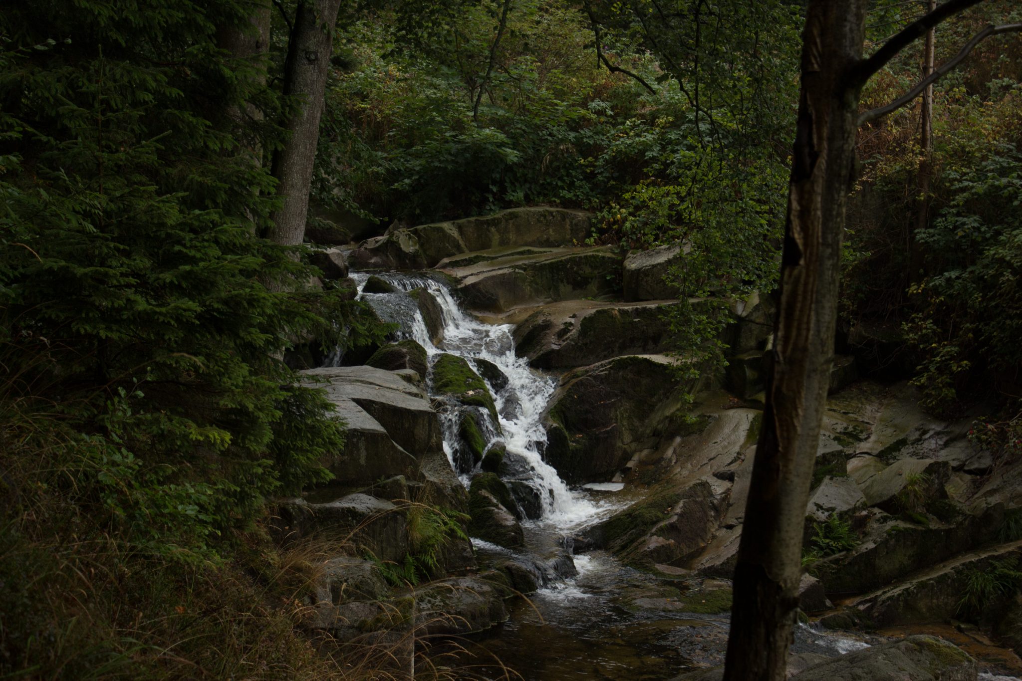 Wanderung Brocken über Heinrich-Heine-Weg, Start in Ilsenburg, Nationalpark Harz, schöner Wanderweg im Wald entlang des Fluß Ilse, kleiner Wasserfall, atmosphärisch, herrliche frische Luft, viele Laubbäume, über Stock und Stein über schmalen Pfad