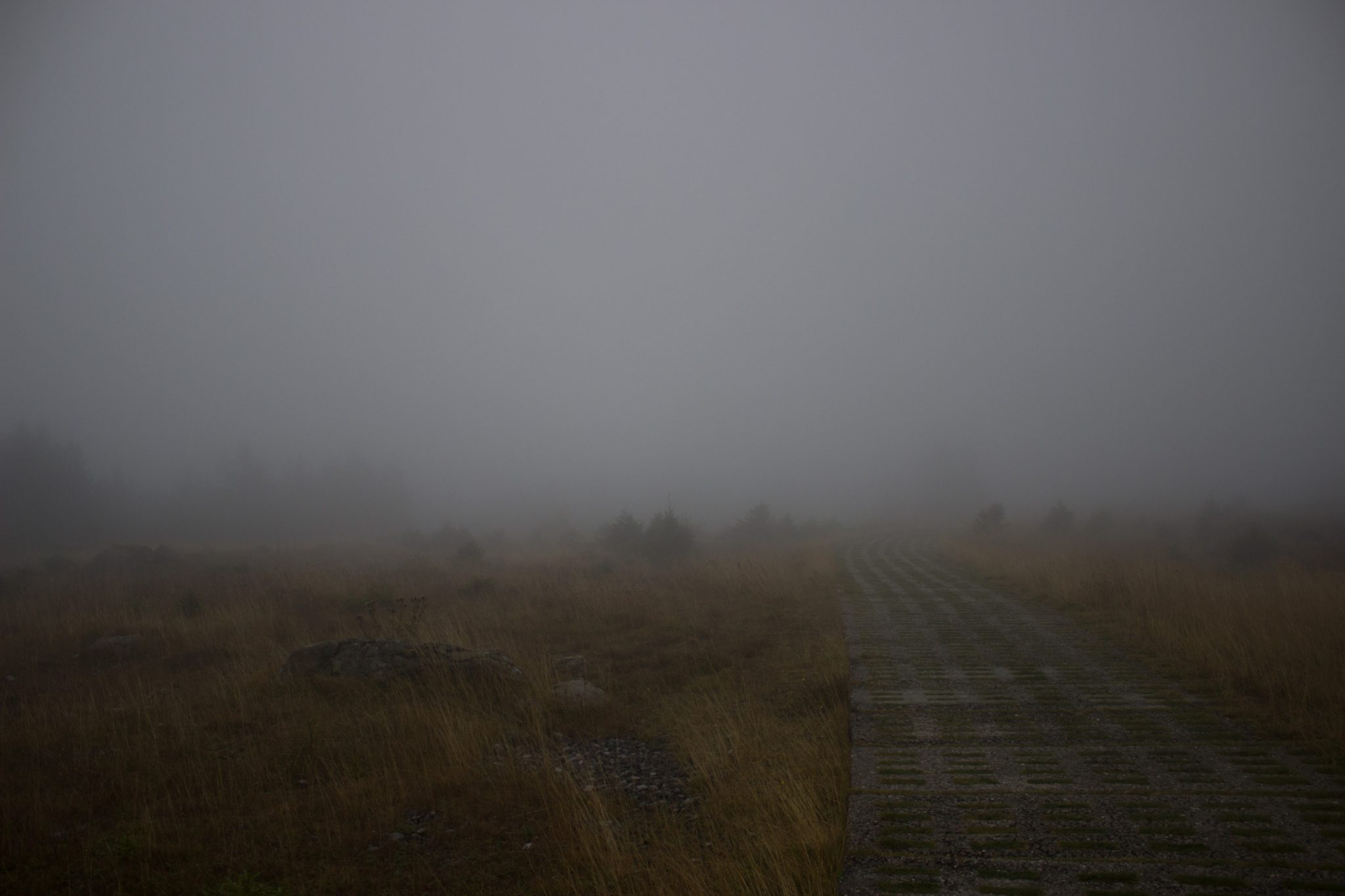 Wanderung Brocken über Heinrich-Heine-Weg Start in Ilsenburg, Nationalpark Harz, triste Stimmung, Weg zum Brocken über alte Militärstraße, regnerisch, sehr neblig, schöne einsame Atmosphäre