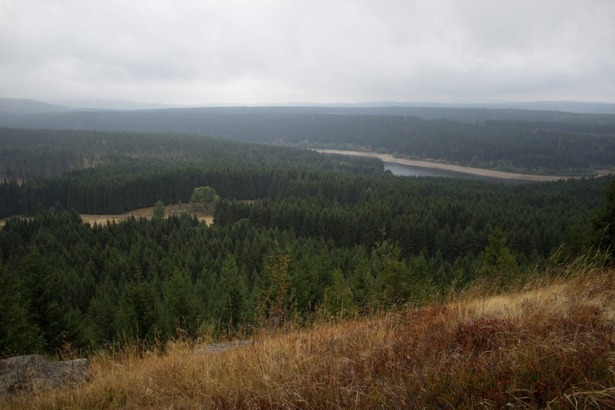 Wanderung Brocken über Heinrich-Heine-Weg Start in Ilsenburg, Nationalpark Harz, schmaler schöner Pfad zum Scharfenstein durch dichten Wald, oben grandiose Aussicht auf den Harz mit schönem Wald, frischer kühlender Wind