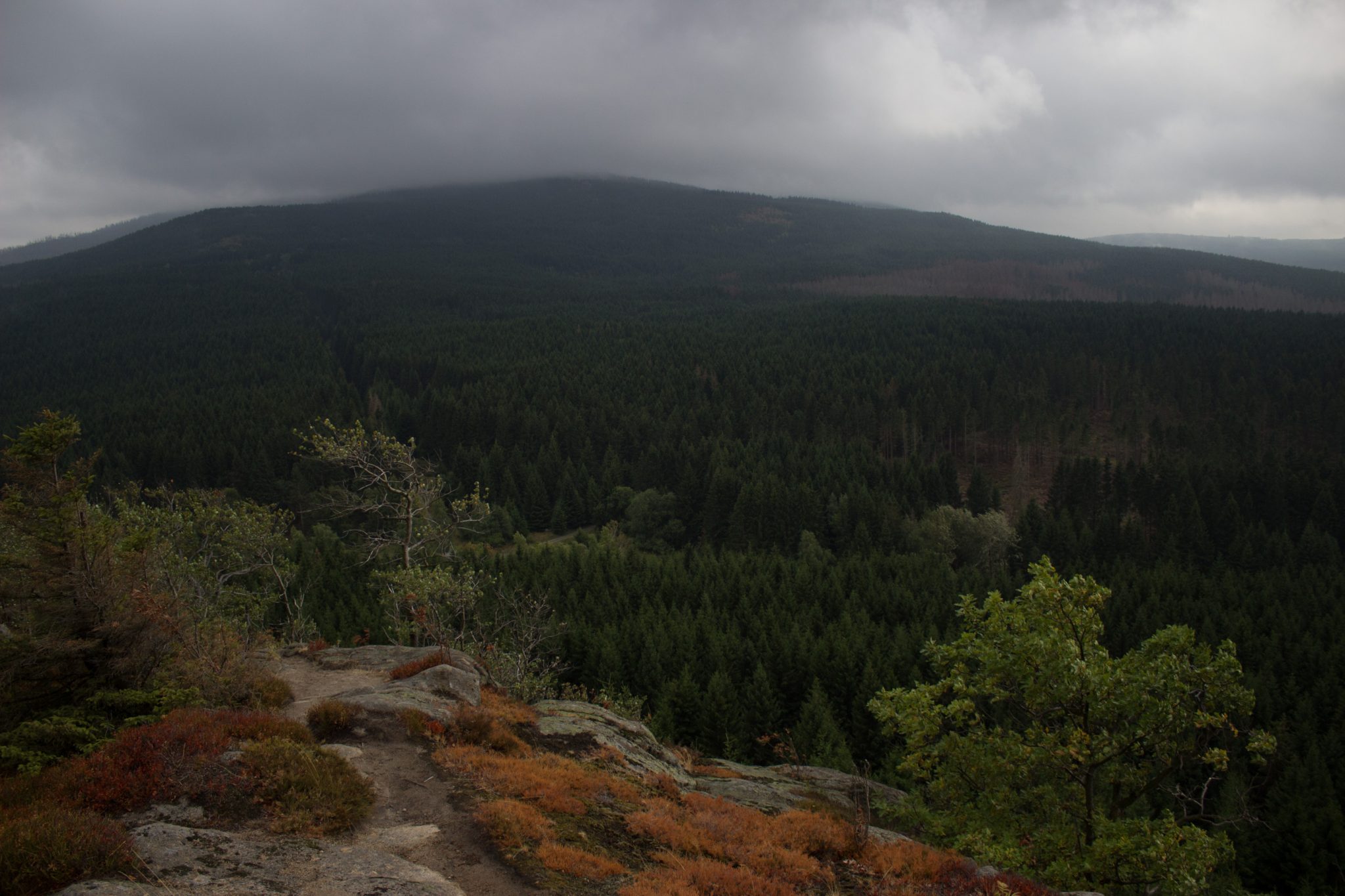Wanderung Brocken über Heinrich-Heine-Weg Start in Ilsenburg, Nationalpark Harz, schmaler schöner Pfad zum Scharfenstein durch dichten Wald, oben grandiose Aussicht auf den Harz mit schönem Wald, frischer kühlender Wind