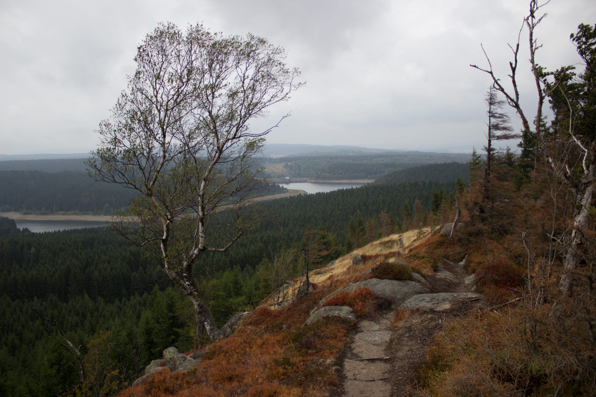 Wanderung Brocken über Heinrich-Heine-Weg Start in Ilsenburg, Nationalpark Harz, schmaler schöner Pfad zum Scharfenstein durch dichten Wald, oben grandiose Aussicht auf den Harz mit schönem Wald, frischer kühlender Wind