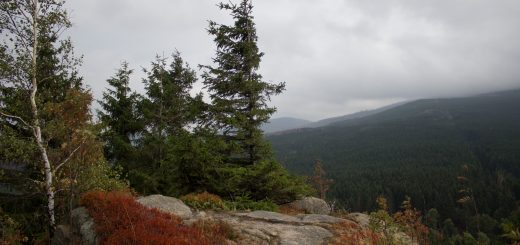 Wanderung Brocken über Heinrich-Heine-Weg Start in Ilsenburg, Nationalpark Harz, schmaler schöner Pfad zum Scharfenstein durch dichten Wald, oben grandiose Aussicht auf den Harz mit schönem Wald, frischer kühlender Wind