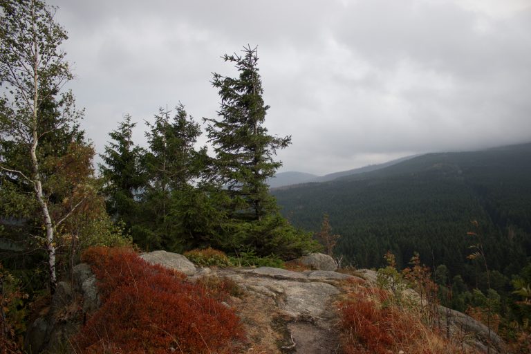 Wanderung Brocken über Heinrich-Heine-Weg Start in Ilsenburg, Nationalpark Harz, schmaler schöner Pfad zum Scharfenstein durch dichten Wald, oben grandiose Aussicht auf den Harz mit schönem Wald, frischer kühlender Wind