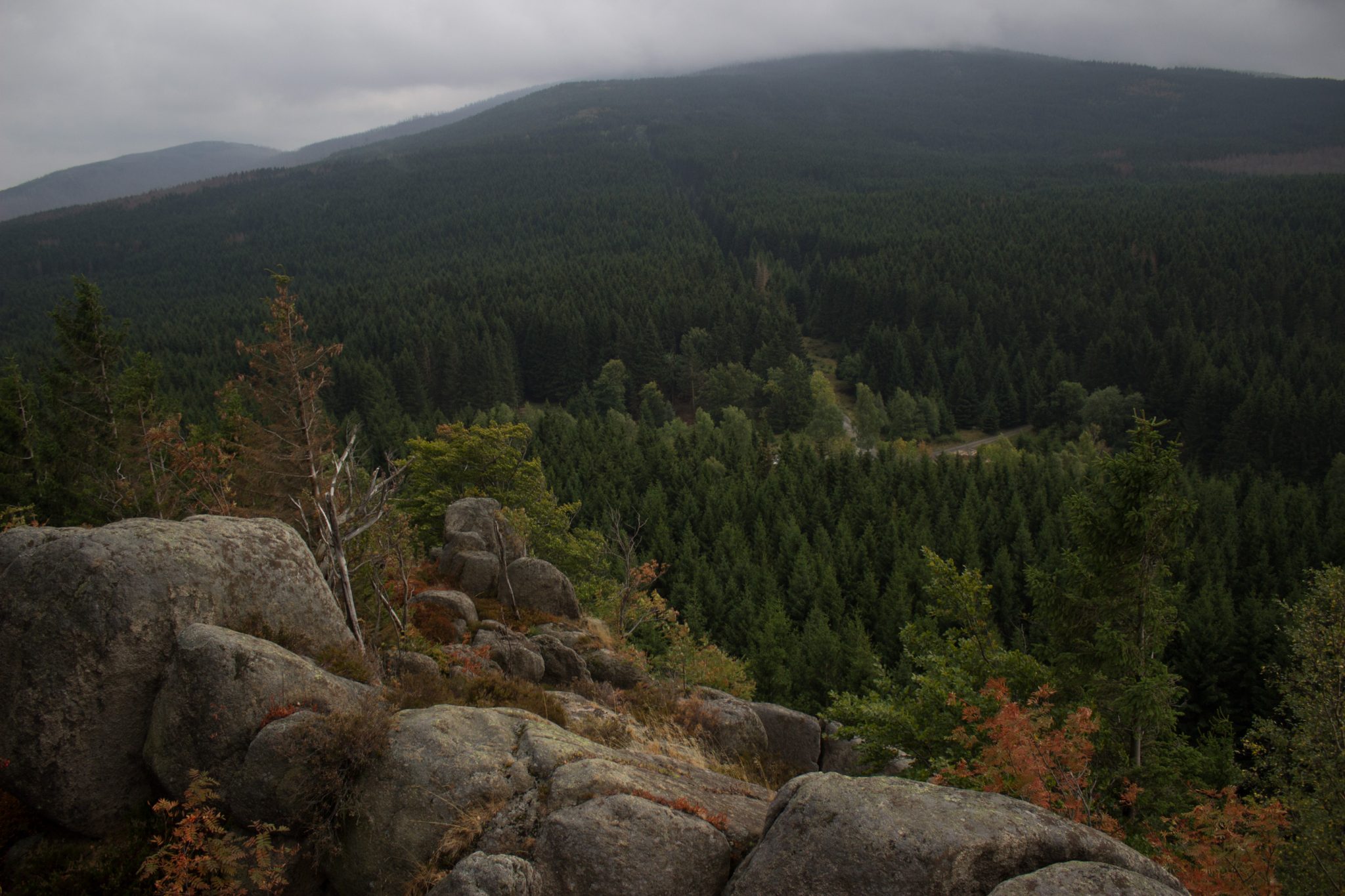 Wanderung Brocken über Heinrich-Heine-Weg Start in Ilsenburg, Nationalpark Harz, schmaler schöner Pfad zum Scharfenstein durch dichten Wald, oben grandiose Aussicht auf den Harz mit schönem Wald, frischer kühlender Wind