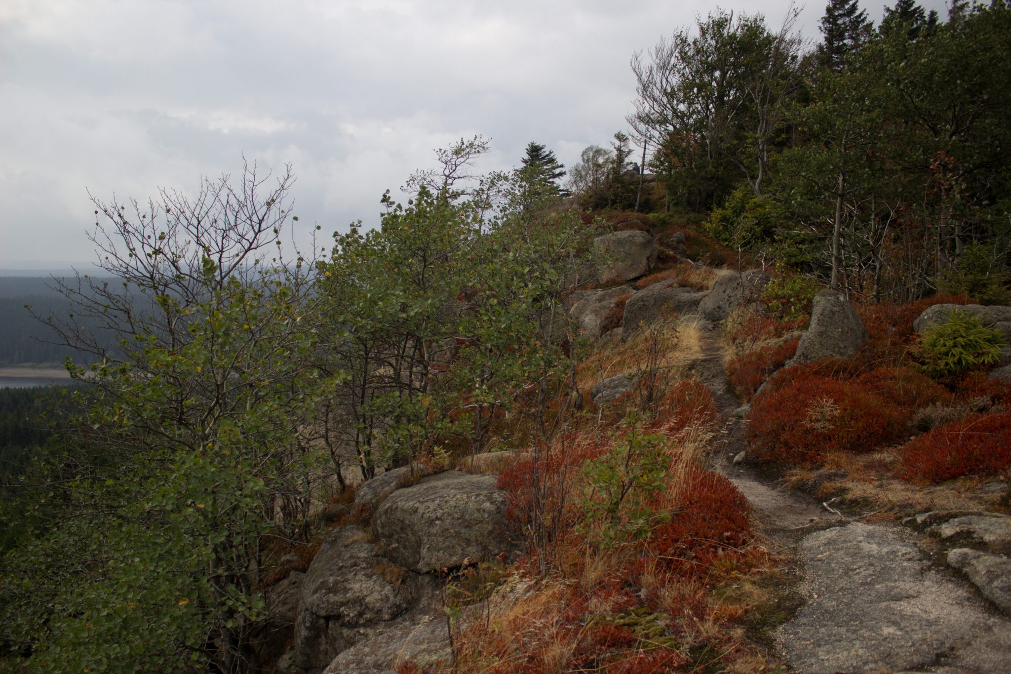 Wanderung Brocken über Heinrich-Heine-Weg Start in Ilsenburg, Nationalpark Harz, schmaler schöner Pfad zum Scharfenstein durch dichten Wald, oben grandiose Aussicht auf den Harz mit schönem Wald, frischer kühlender Wind