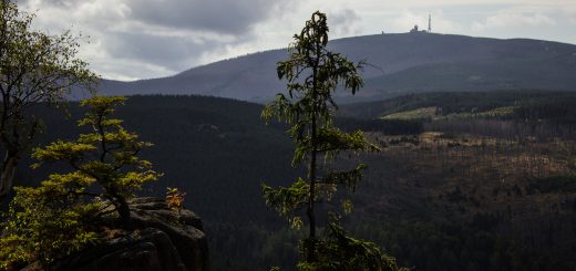 Von Bad Harzburg zur Rabenklippe und durchs Eckertal, Wanderung im Harz in Niedersachsen, Aussicht auf den Brocken, höchster Berg im Harz