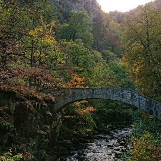 Rundwanderung Thale nach Treseburg - über Hexentanzplatz, Bodetal und Roßtrappe, Fluß Bode fließt durch Bodetal, Wanderung Richtung Thale, idyllisches, schönes Bodetal, beeindruckende Aussicht auf riesige Felswände, Teufelsbrücke zum Überqueren der Bode