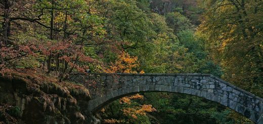 Rundwanderung Thale nach Treseburg - über Hexentanzplatz, Bodetal und Roßtrappe, Fluß Bode fließt durch Bodetal, Wanderung Richtung Thale, idyllisches, schönes Bodetal, beeindruckende Aussicht auf riesige Felswände, Teufelsbrücke zum Überqueren der Bode
