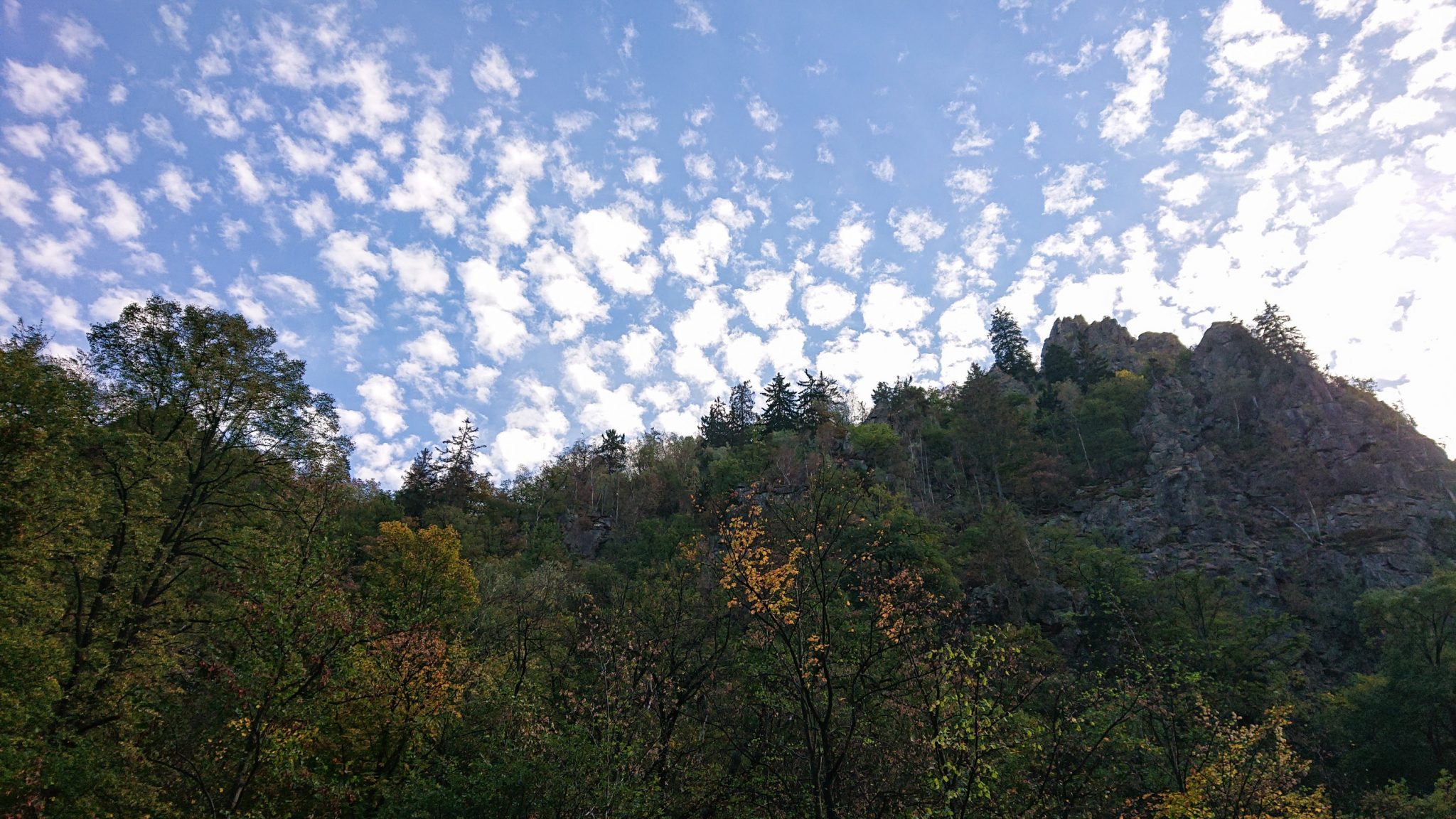 Rundwanderung Thale nach Treseburg - über Hexentanzplatz, Bodetal und Roßtrappe, beeindruckende Aussicht im Bodetal auf riesige Steilwände aus Fels, große tiefe Schlucht um Fluß Bode im Bodetal, in der Nähe von Thale