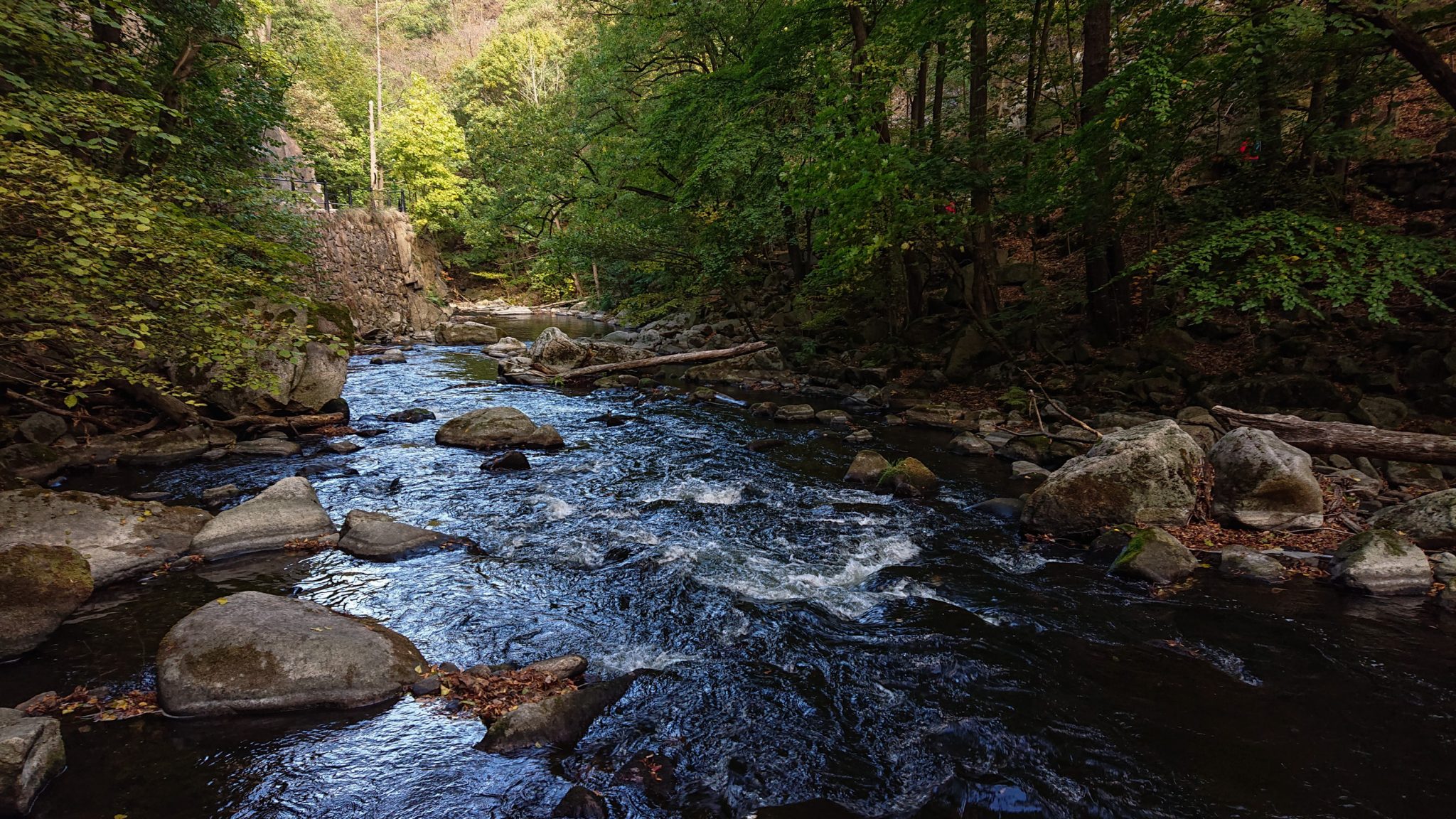 Rundwanderung Thale nach Treseburg - über Hexentanzplatz, Bodetal und Roßtrappe, Fluß Bode fließt durch Bodetal, Wanderung Richtung Thale, idyllisches, schönes Bodetal