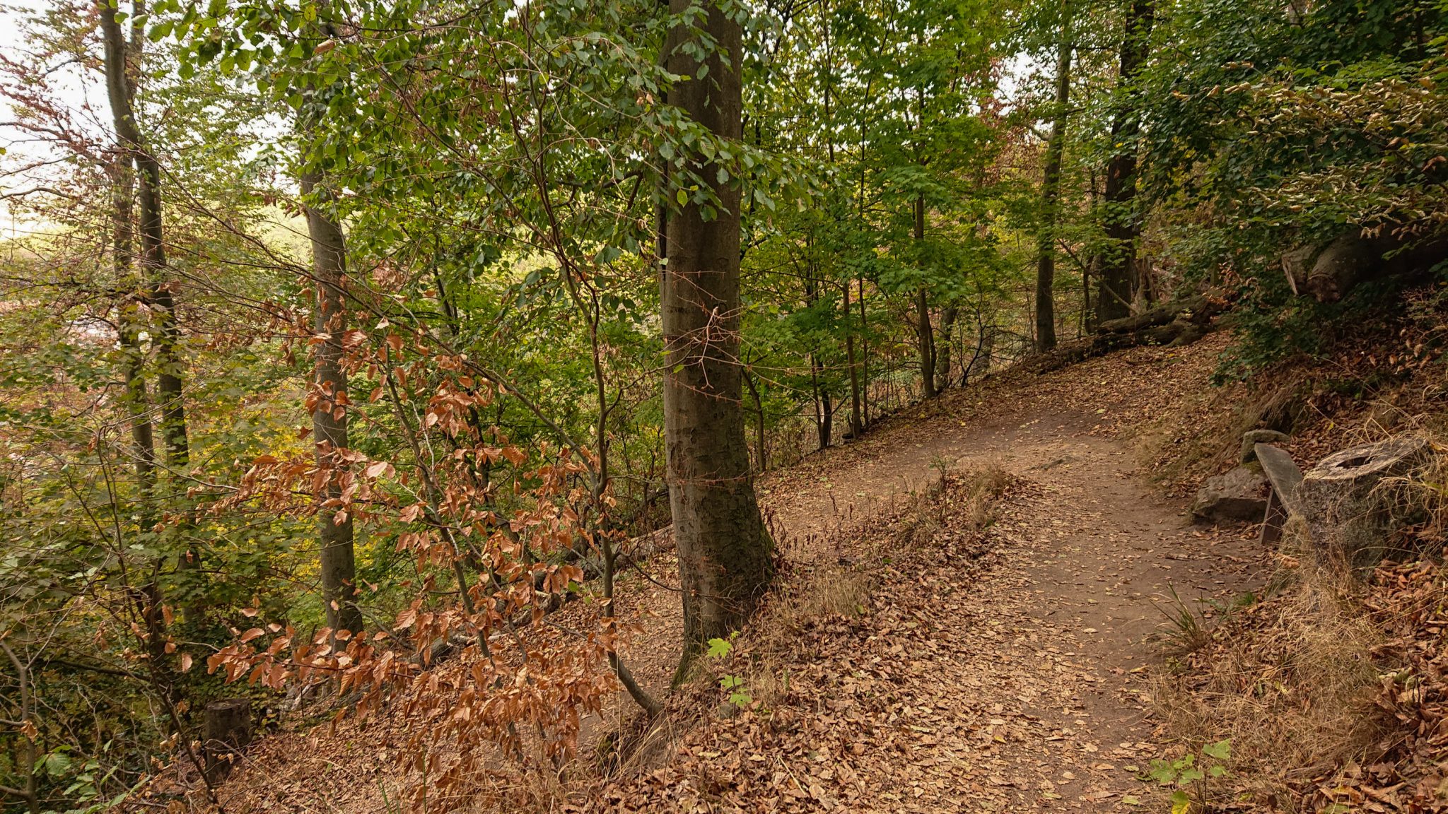 Rundwanderung Thale nach Treseburg - über Hexentanzplatz, Bodetal und Roßtrappe, Wanderweg Präsidentenweg zum Aussichtspunkt Roßtrappe, Wanderweg Schurre gesperrt