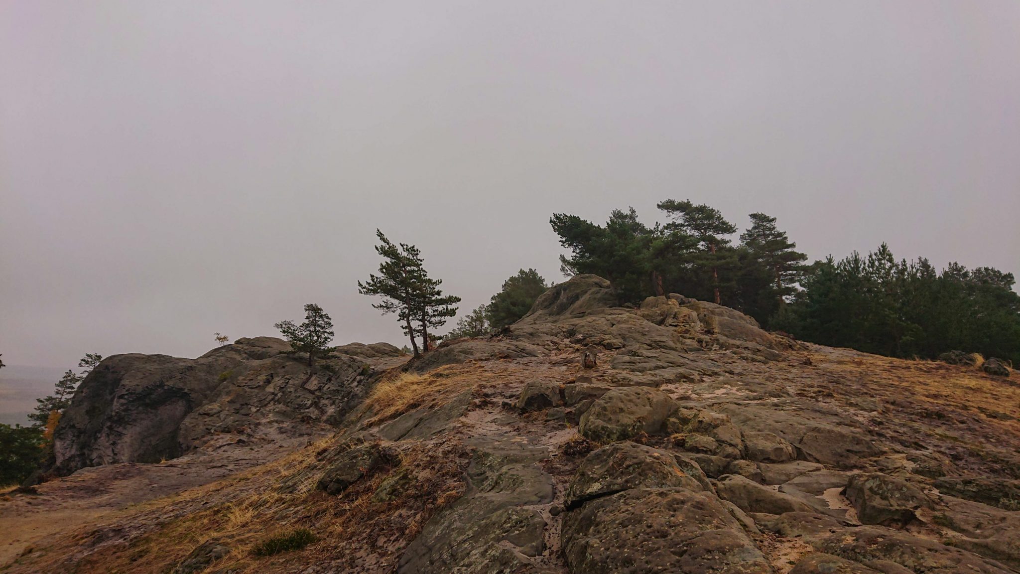 Rundwanderung auf der Blankenburger Teufelsmauer, Felsformation, wolkig und nieseliges Wetter, Beginn des Wanderwegs Blankenburger Teufelsmauer