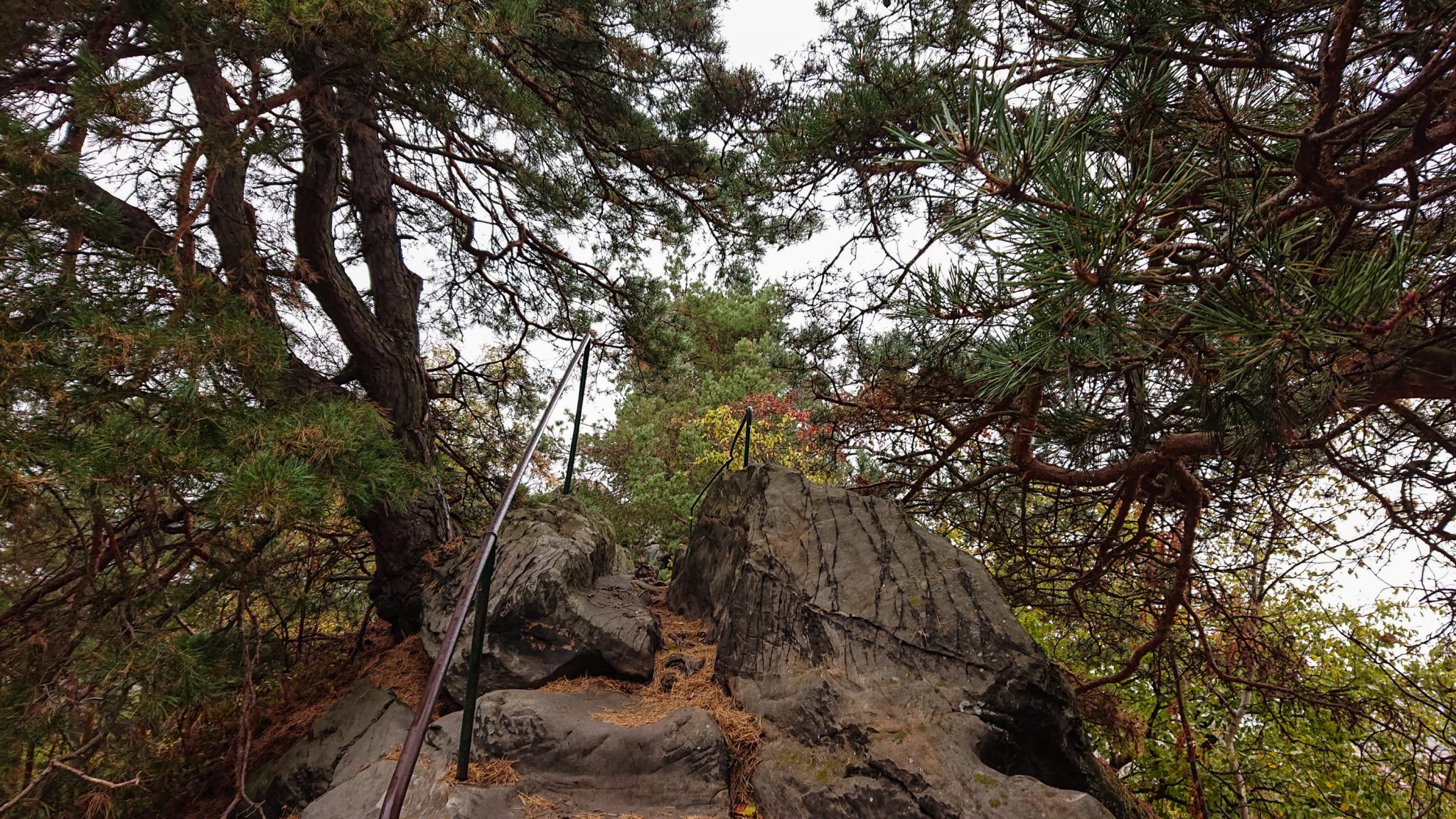Rundwanderung auf der Blankenburger Teufelsmauer, Felsformation, Stufen in Stein geschlagen mit Trittsicherung, angrenzender Wald