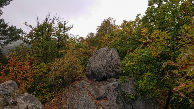 Rundwanderung auf der Blankenburger Teufelsmauer, Felsformation, Stufen in Stein geschlagen mit Trittsicherung, angrenzender Wald, Laub in Herbstfarben, große Steine