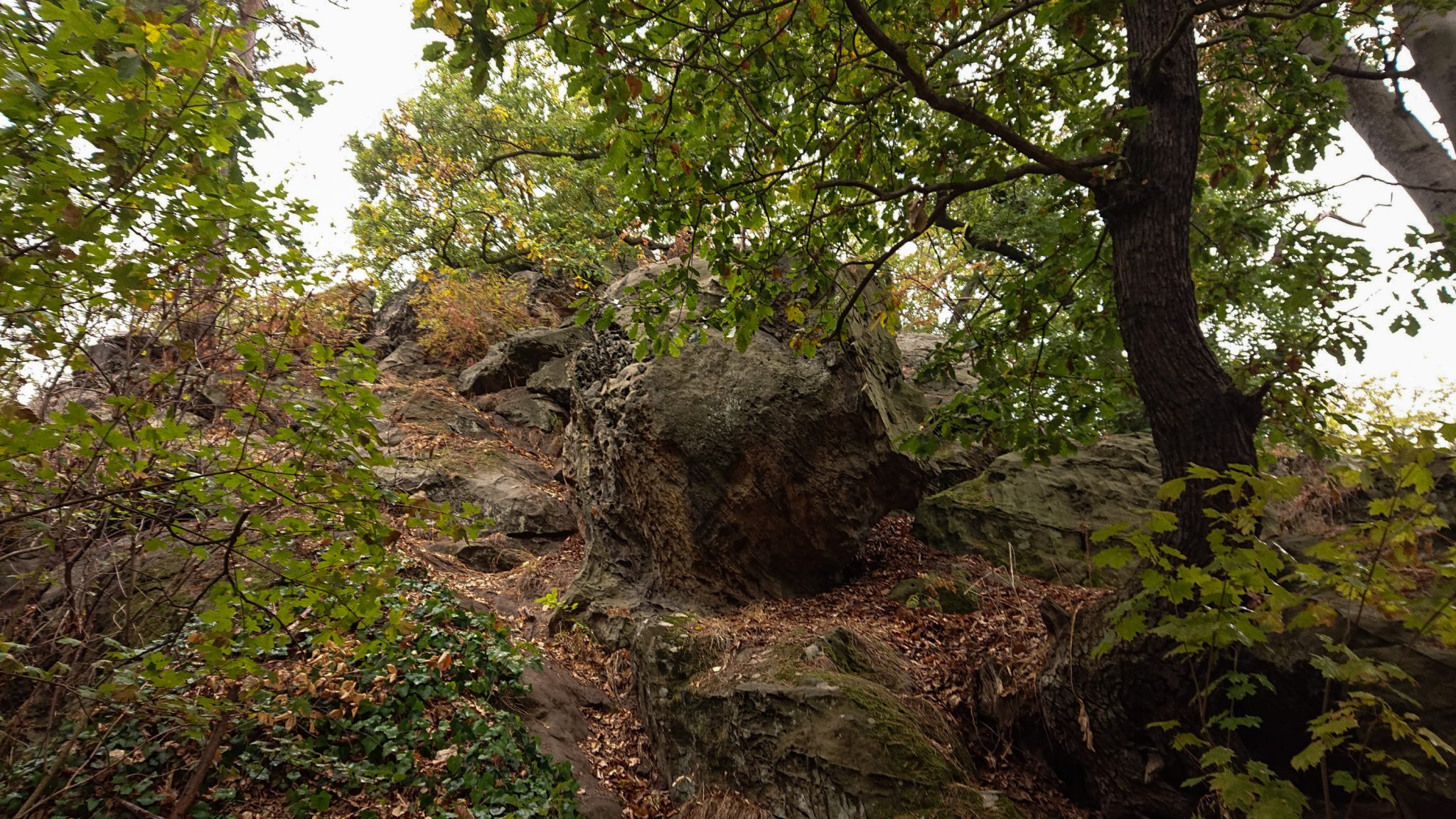 Rundwanderung auf der Blankenburger Teufelsmauer, Felsformationen, angrenzender Wald, Laub in Herbstfarben, große Steine, abwechslungsreicher schmaler Pfad über Stock und Stein