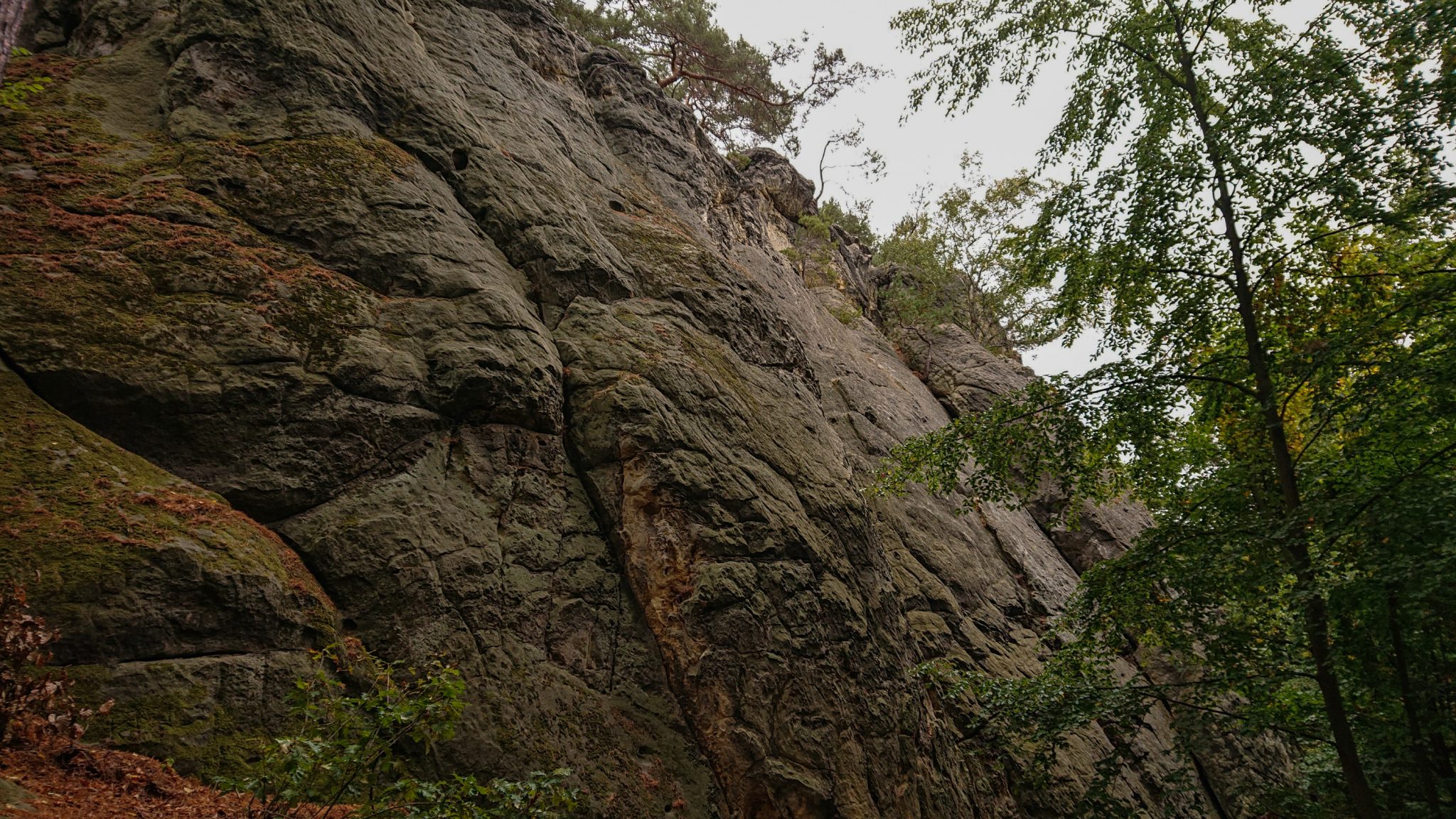 Rundwanderung auf der Blankenburger Teufelsmauer, riesige Felsformation und Beginn des angrenzenden Laubwaldes