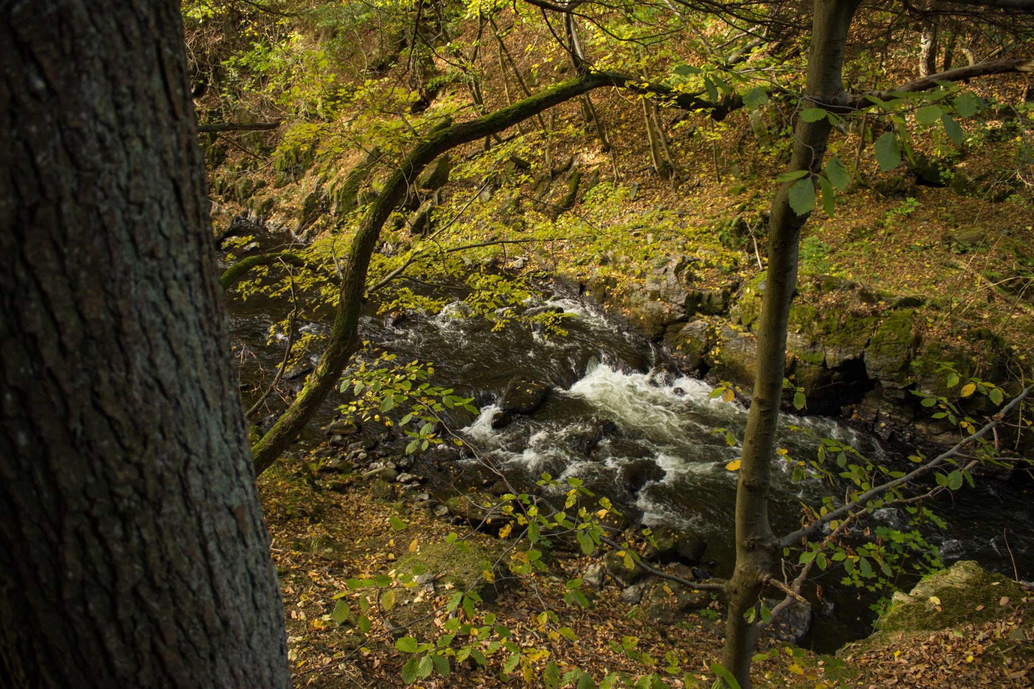 Rundwanderung Thale nach Treseburg - über Hexentanzplatz, Bodetal und Roßtrappe, Fluß Bode fließt durch Bodetal, Wanderung Richtung Thale, idyllisches, schönes Bodetal