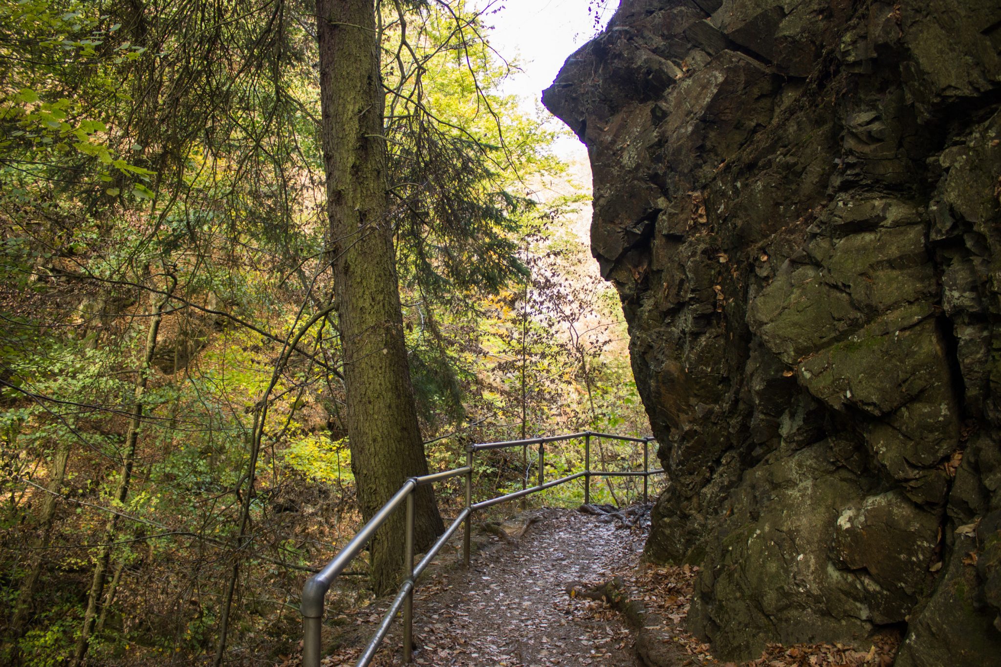 Rundwanderung Thale nach Treseburg - über Hexentanzplatz, Bodetal und Roßtrappe, Wanderweg im Bodetal, durch Metallgitter abgesichert, großer Felsen neben Wanderpfad, überall schöner dichter Wald