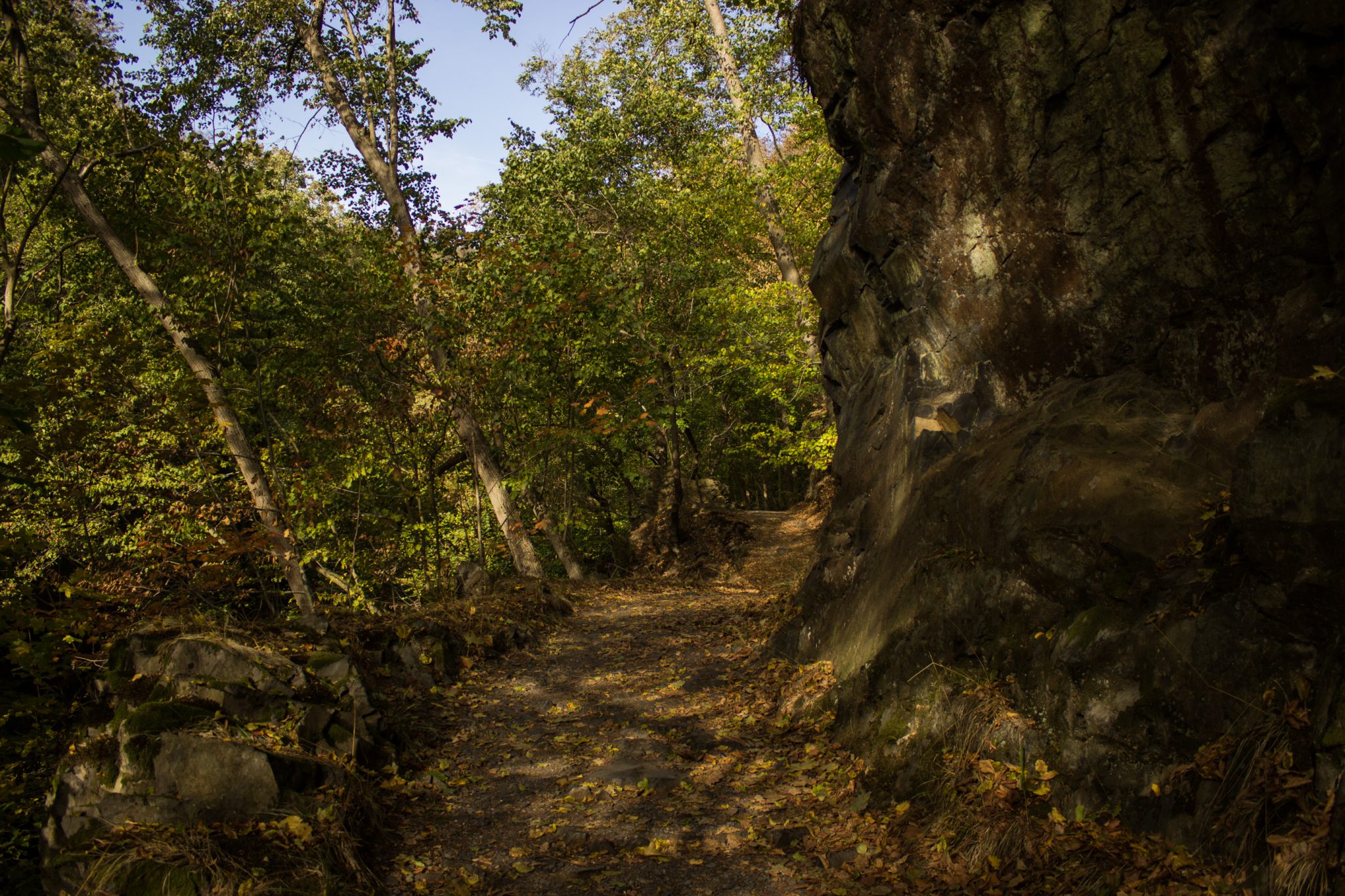 Rundwanderung Thale nach Treseburg - über Hexentanzplatz, Bodetal und Roßtrappe, Wanderweg im Bodetal, großer Felsen neben naturbelassenem Wanderpfad, überall schöner dichter Wald