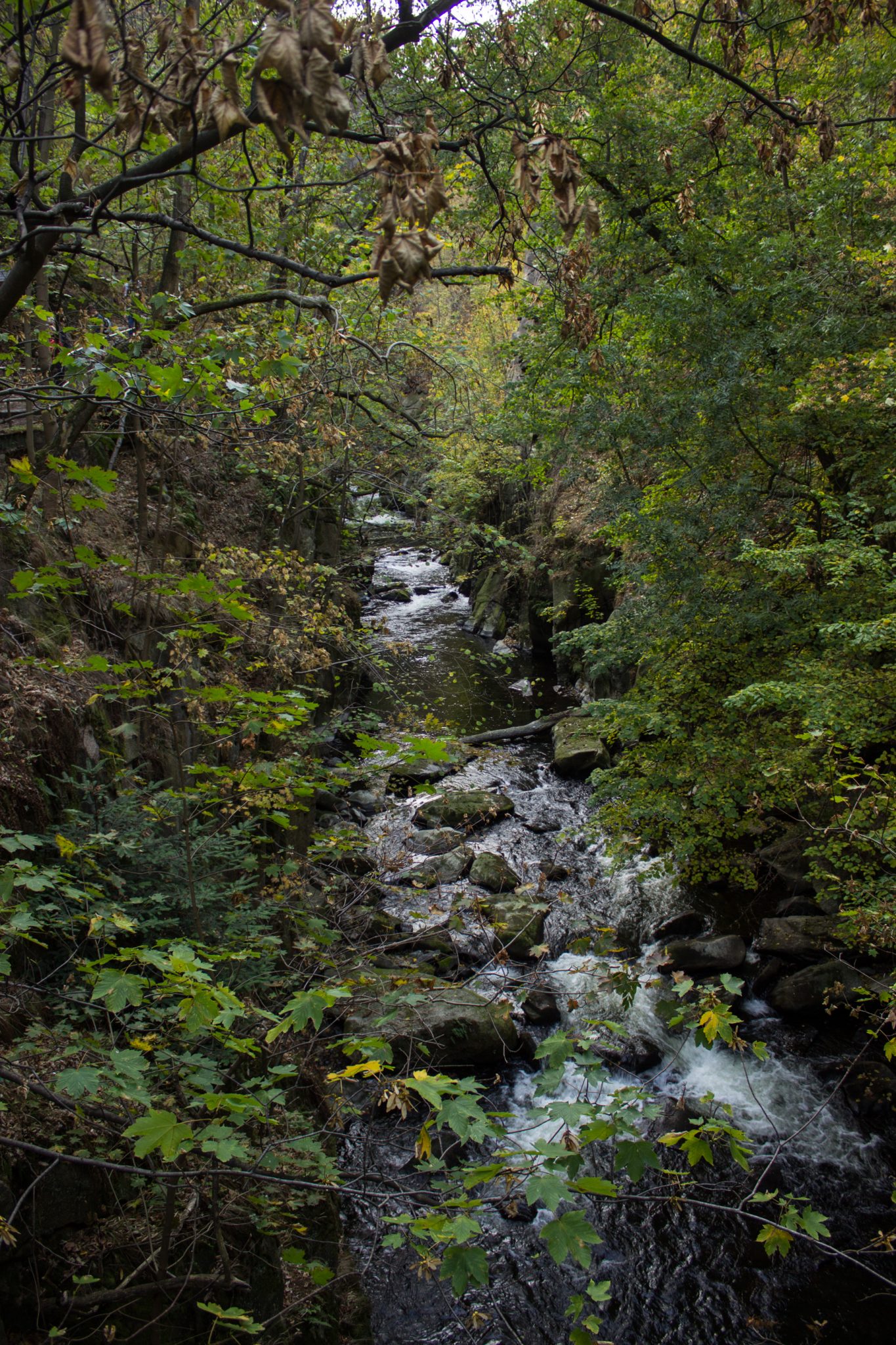 Rundwanderung Thale nach Treseburg - über Hexentanzplatz, Bodetal und Roßtrappe, Fluß Bode fließt durch Bodetal, Wanderung Richtung Thale, idyllisches, schönes Bodetal