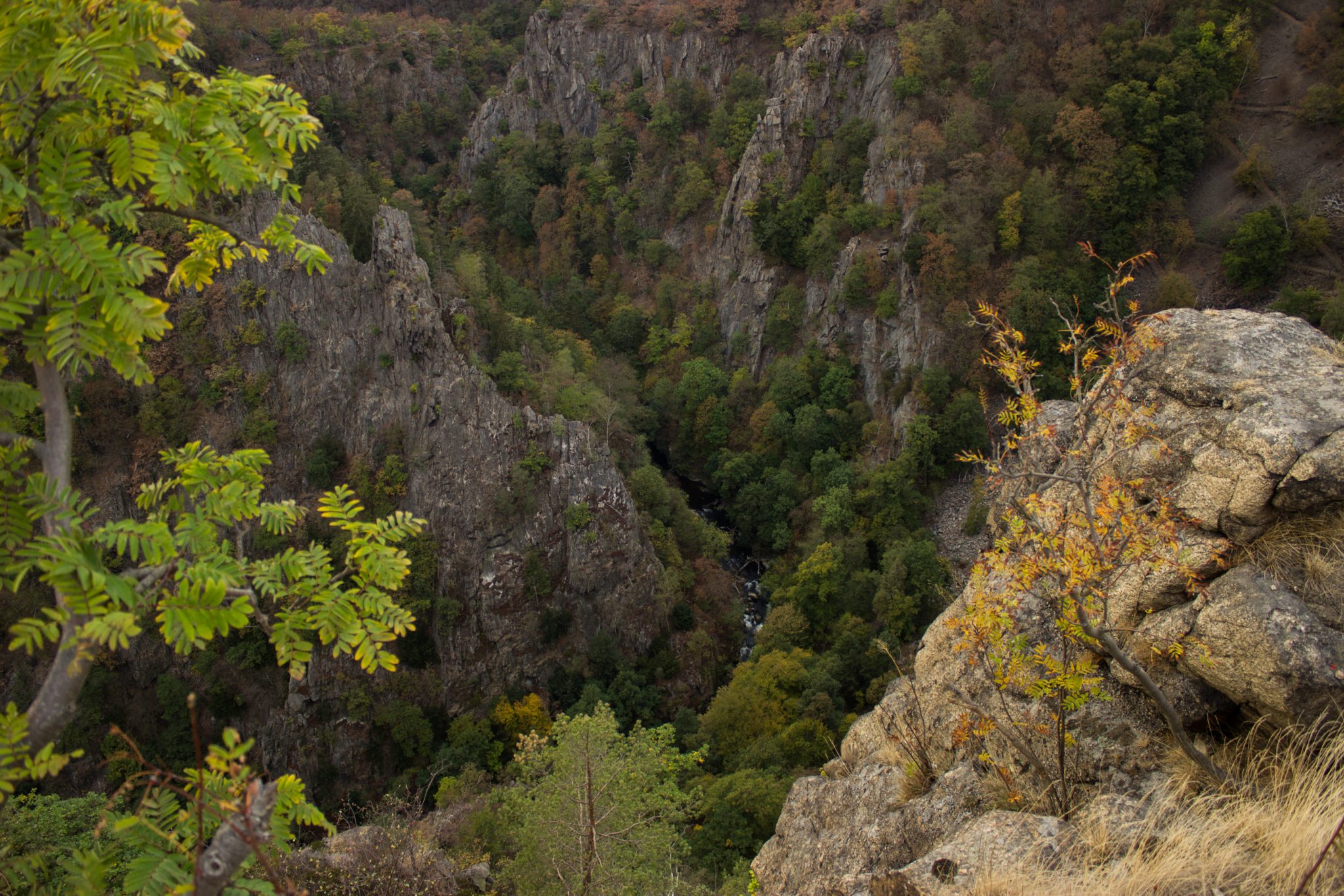 Rundwanderung Thale nach Treseburg - über Hexentanzplatz, Bodetal und Roßtrappe, beeindruckende Aussicht von der Roßtrappe auf das Bodetal, riesige Steilwände aus Fels, große tiefe Schlucht beim Fluß Bode im Bodetal, in der Nähe von Thale beim Aussichtspunkt Roßtrappe