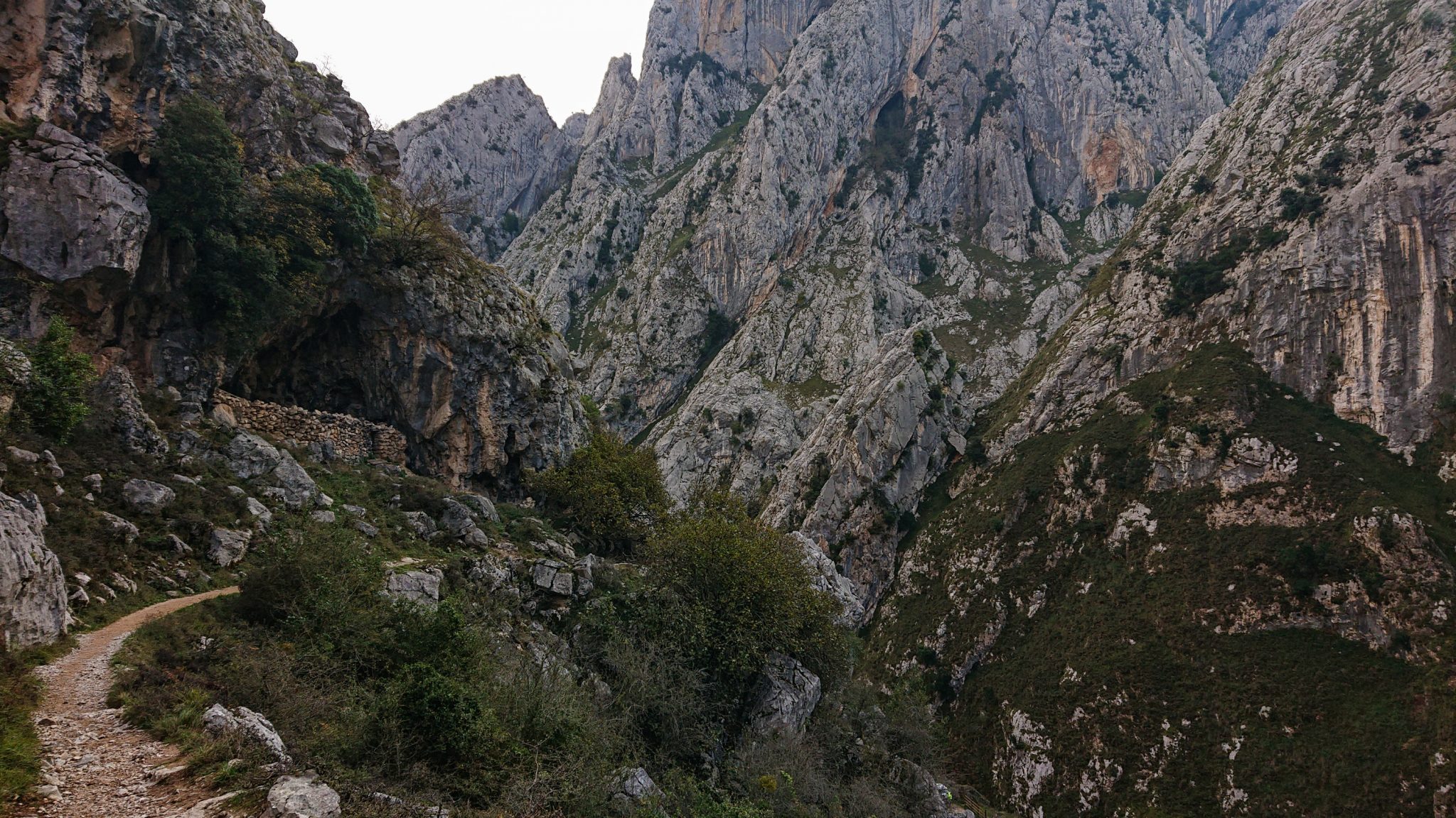 Ruta del Cares wandern in den Picos de Europa, Wanderung durch die göttliche Schlucht im Nationalpark Picos de Europa im Norden von Spanien, schmaler Wanderweg durch die Schlucht im Cares Tal, atemberaubende und abwechslungsreiche Aussicht, steile Felswände, tiefe Schlucht mit Fluss Cares