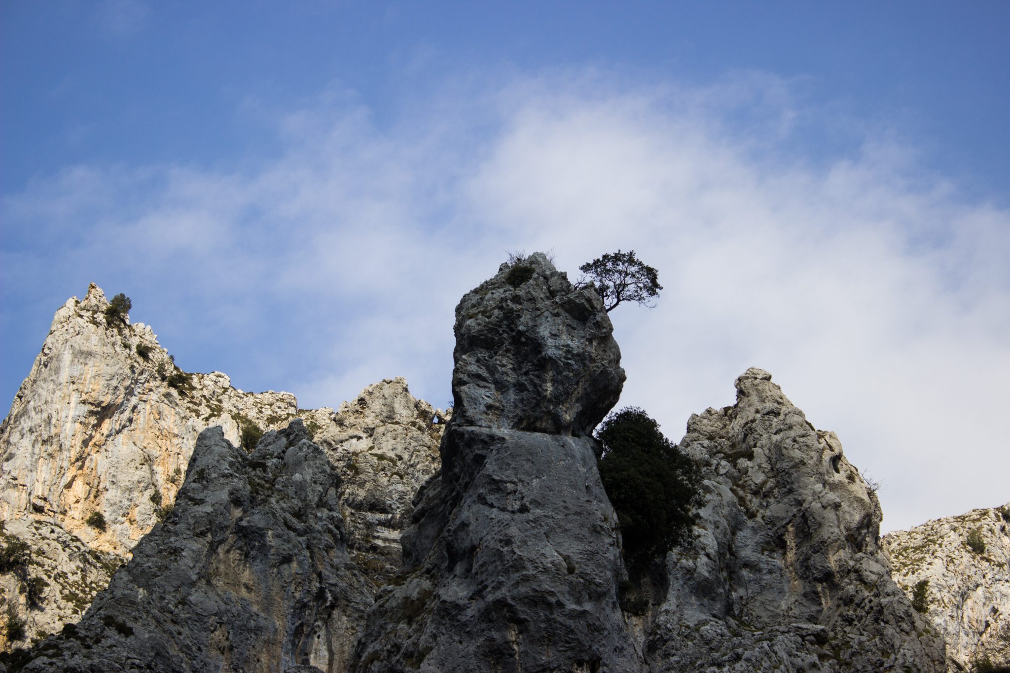 Ruta del Cares wandern in den Picos de Europa, Wanderung durch die göttliche Schlucht im Nationalpark Picos de Europa im Norden von Spanien, schmaler Wanderweg durch die Schlucht im Cares Tal, atemberaubende und abwechslungsreiche Aussicht, steile Felswände, tiefe Schlucht mit Fluss Cares
