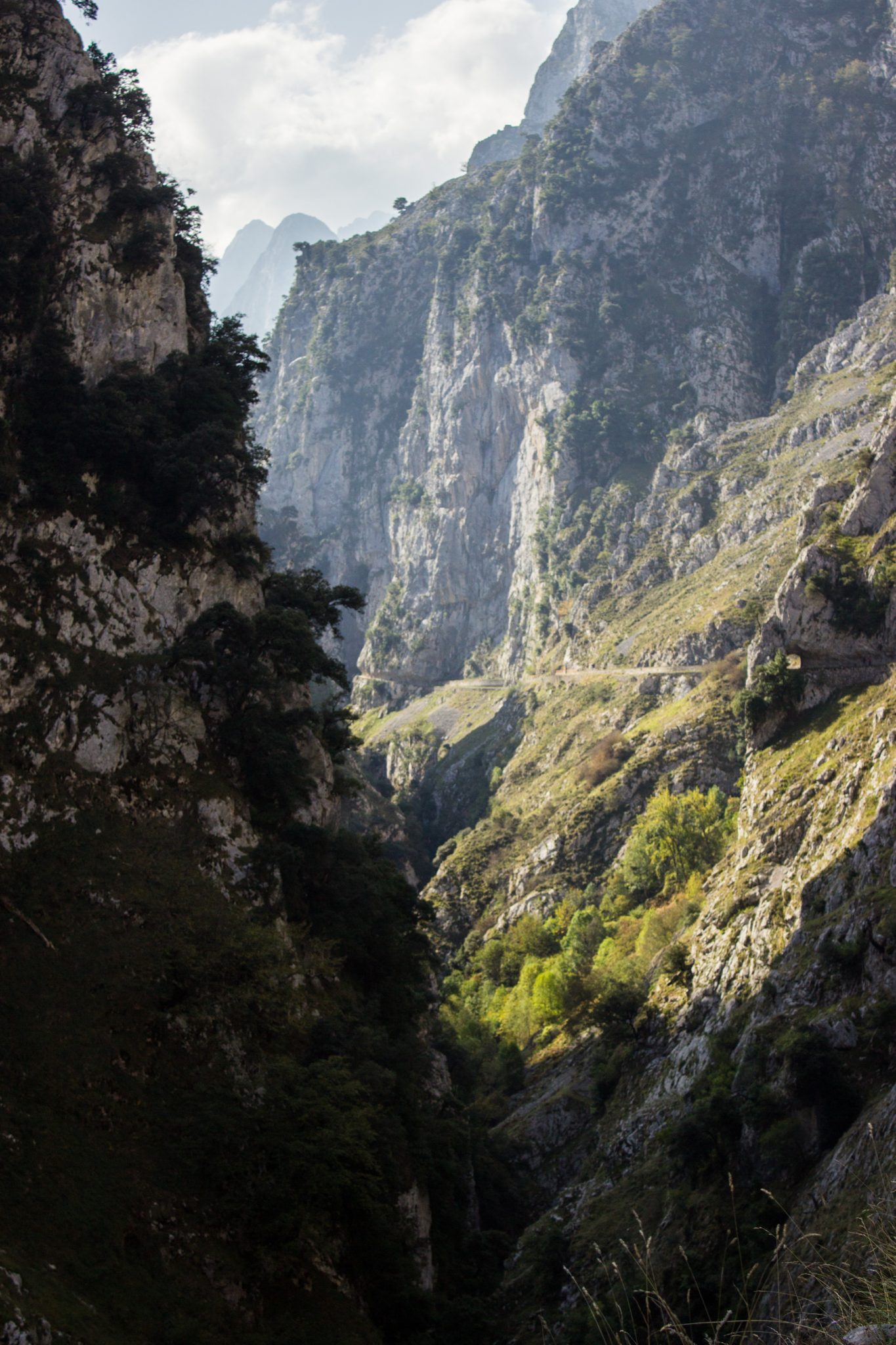 Ruta del Cares wandern in den Picos de Europa, Wanderung durch die göttliche Schlucht im Nationalpark Picos de Europa im Norden von Spanien, schmaler Wanderweg durch die Schlucht im Cares Tal, atemberaubende und abwechslungsreiche Aussicht, steile Felswände, tiefe Schlucht mit Fluss Cares