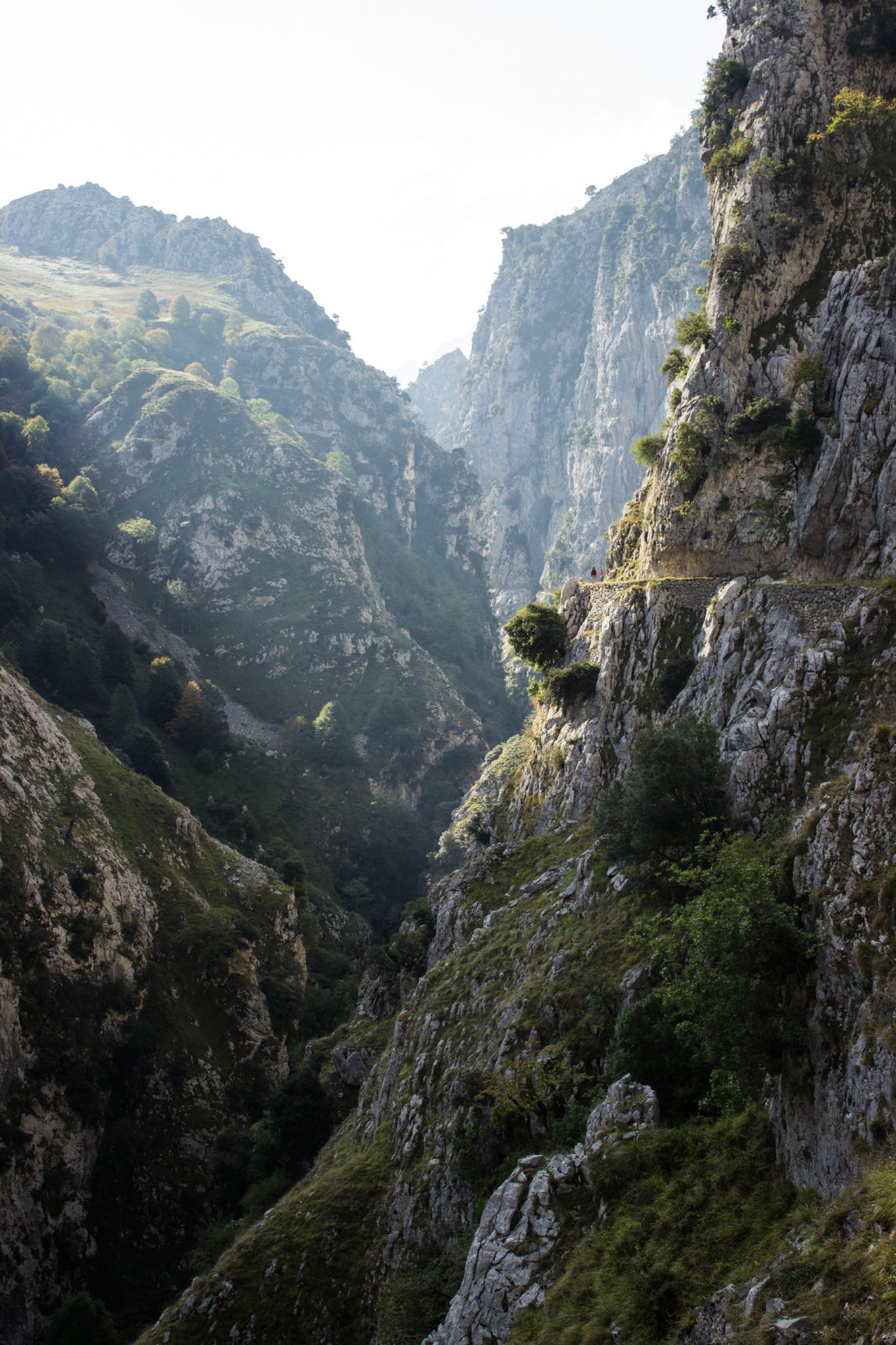 Ruta del Cares wandern in den Picos de Europa, Wanderung durch die göttliche Schlucht im Nationalpark Picos de Europa im Norden von Spanien, schmaler Wanderweg durch die Schlucht im Cares Tal, atemberaubende und abwechslungsreiche Aussicht, steile Felswände, tiefe Schlucht mit Fluss Cares