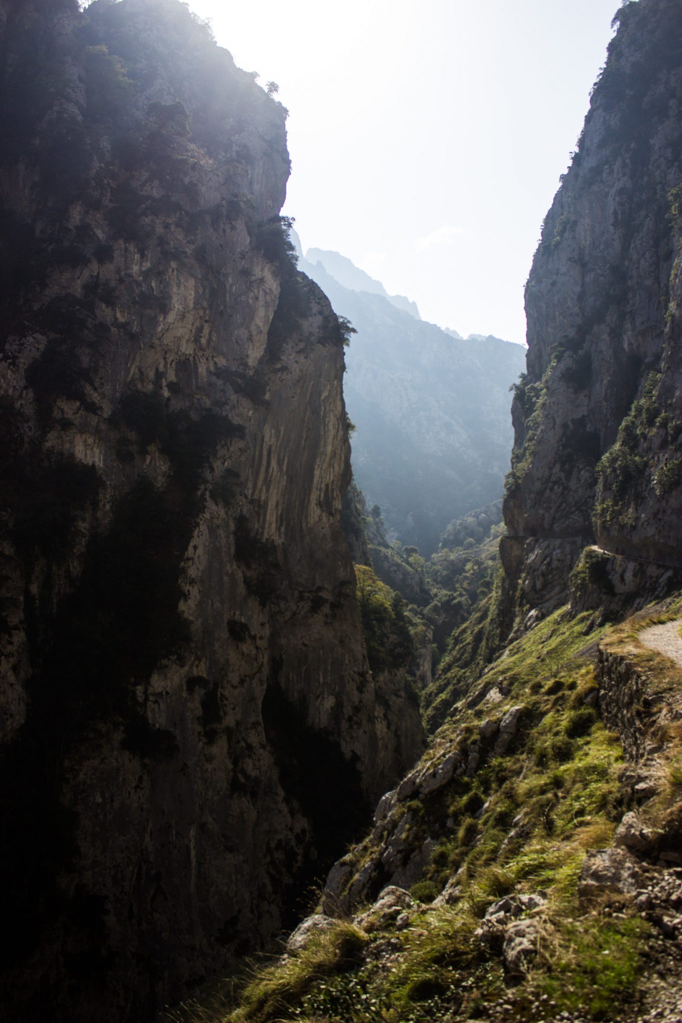 Ruta del Cares wandern in den Picos de Europa, Wanderung durch die göttliche Schlucht im Nationalpark Picos de Europa im Norden von Spanien, schmaler Wanderweg durch die Schlucht im Cares Tal, atemberaubende und abwechslungsreiche Aussicht, steile Felswände, tiefe Schlucht mit Fluss Cares