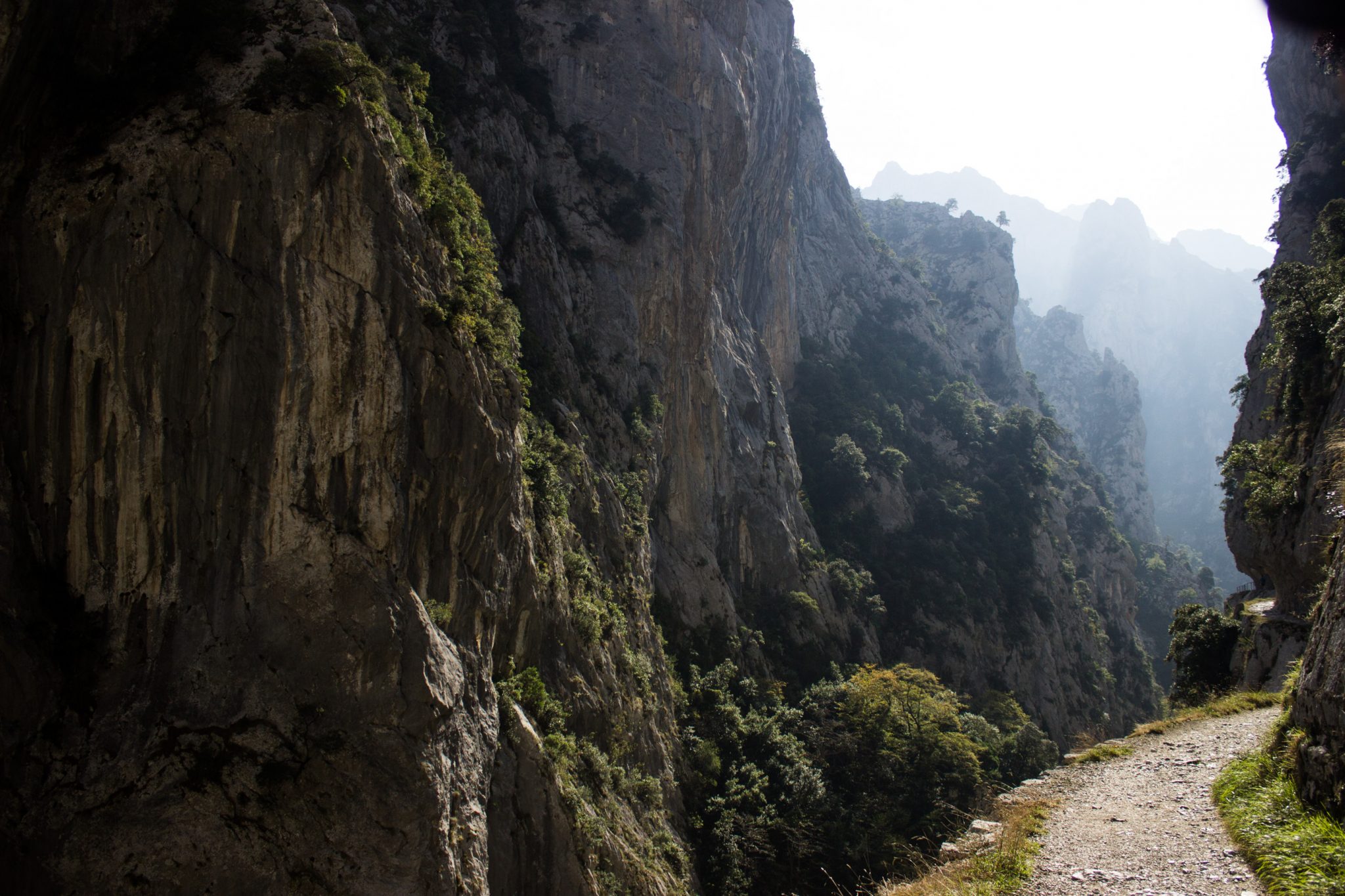 Ruta del Cares wandern in den Picos de Europa, Wanderung durch die göttliche Schlucht im Nationalpark Picos de Europa im Norden von Spanien, schmaler Wanderweg durch die Schlucht im Cares Tal, atemberaubende und abwechslungsreiche Aussicht, steile Felswände, tiefe Schlucht mit Fluss Cares