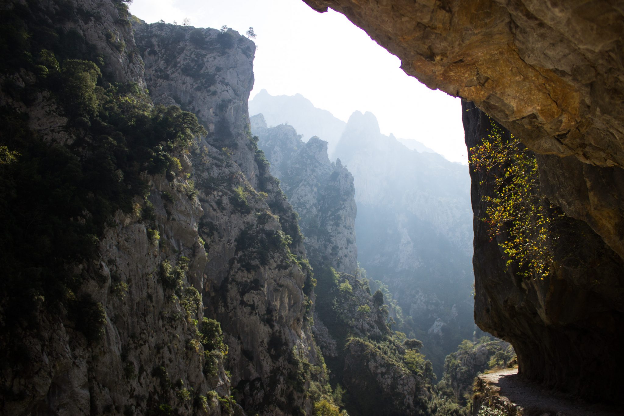 Ruta del Cares wandern in den Picos de Europa, Wanderung durch die göttliche Schlucht im Nationalpark Picos de Europa im Norden von Spanien, schmaler Wanderweg durch die Schlucht im Cares Tal, atemberaubende und abwechslungsreiche Aussicht, steile Felswände, tiefe Schlucht mit Fluss Cares