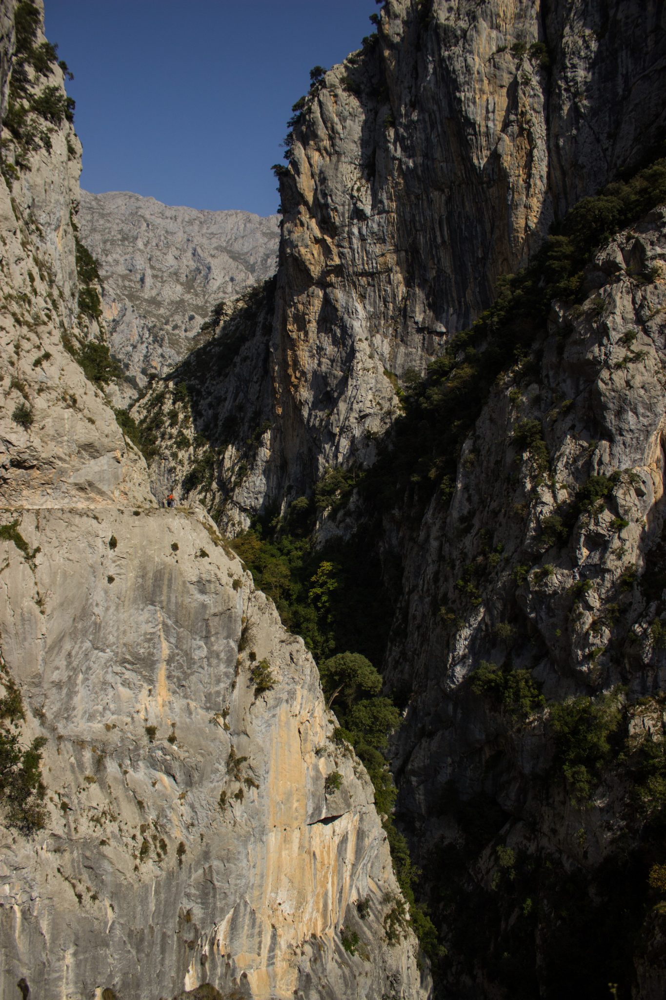 Ruta del Cares wandern in den Picos de Europa, Wanderung durch die göttliche Schlucht im Nationalpark Picos de Europa im Norden von Spanien, schmaler Wanderweg durch die Schlucht im Cares Tal, atemberaubende und abwechslungsreiche Aussicht, steile Felswände, tiefe Schlucht mit Fluss Cares