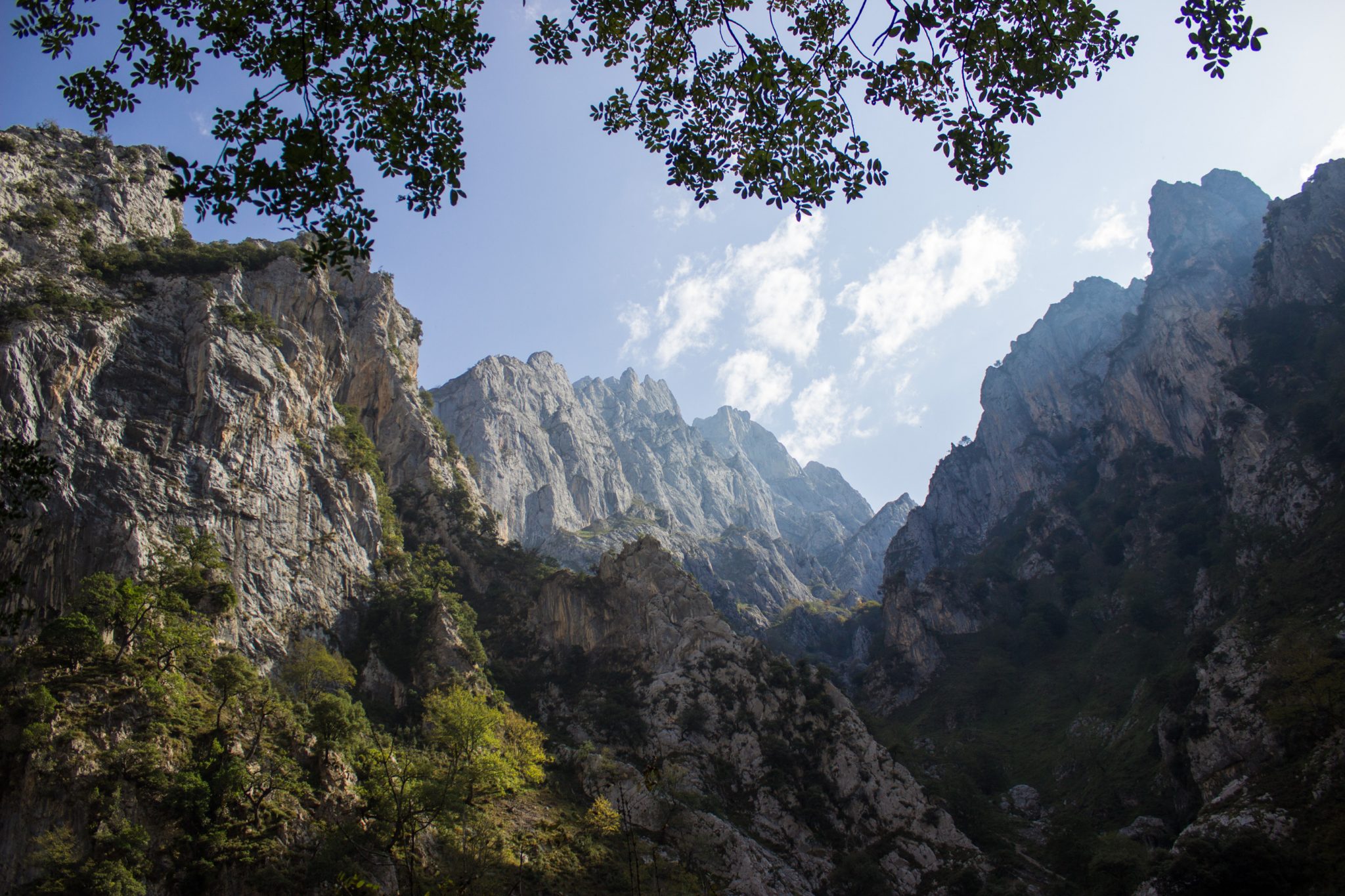 Ruta del Cares wandern in den Picos de Europa, Wanderung durch die göttliche Schlucht im Nationalpark Picos de Europa im Norden von Spanien, schmaler Wanderweg durch die Schlucht im Cares Tal, atemberaubende und abwechslungsreiche Aussicht, steile Felswände, tiefe Schlucht mit Fluss Cares
