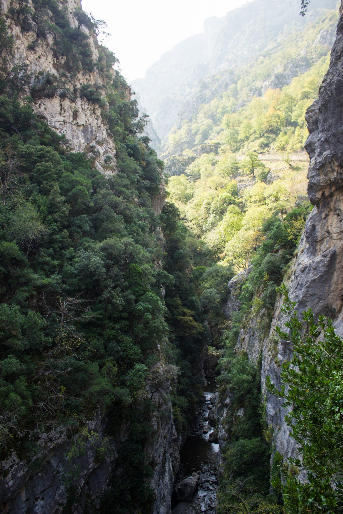 Ruta del Cares wandern in den Picos de Europa, Wanderung durch die göttliche Schlucht im Nationalpark Picos de Europa im Norden von Spanien, schmaler Wanderweg durch die Schlucht im Cares Tal, atemberaubende und abwechslungsreiche Aussicht, steile Felswände, tiefe Schlucht mit Fluss Cares