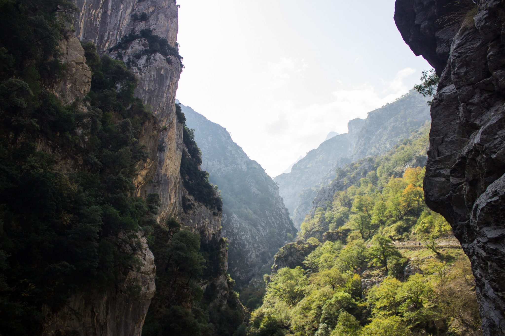 Ruta del Cares wandern in den Picos de Europa, Wanderung durch die göttliche Schlucht im Nationalpark Picos de Europa im Norden von Spanien, schmaler Wanderweg durch die Schlucht im Cares Tal, atemberaubende und abwechslungsreiche Aussicht, steile Felswände, tiefe Schlucht mit Fluss Cares