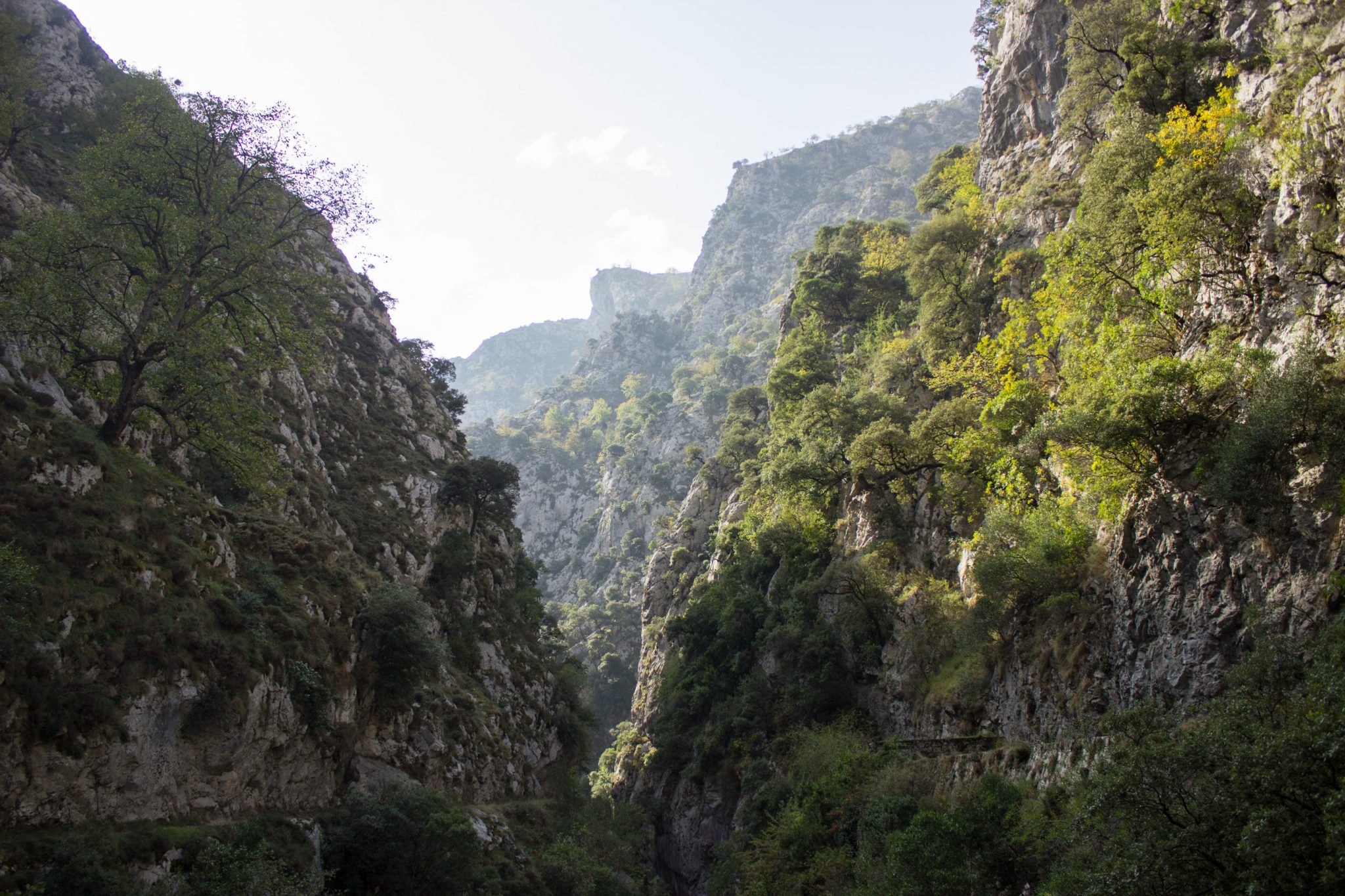 Ruta del Cares wandern in den Picos de Europa, Wanderung durch die göttliche Schlucht im Nationalpark Picos de Europa im Norden von Spanien, schmaler Wanderweg durch die Schlucht im Cares Tal, atemberaubende und abwechslungsreiche Aussicht, steile Felswände, tiefe Schlucht mit Fluss Cares