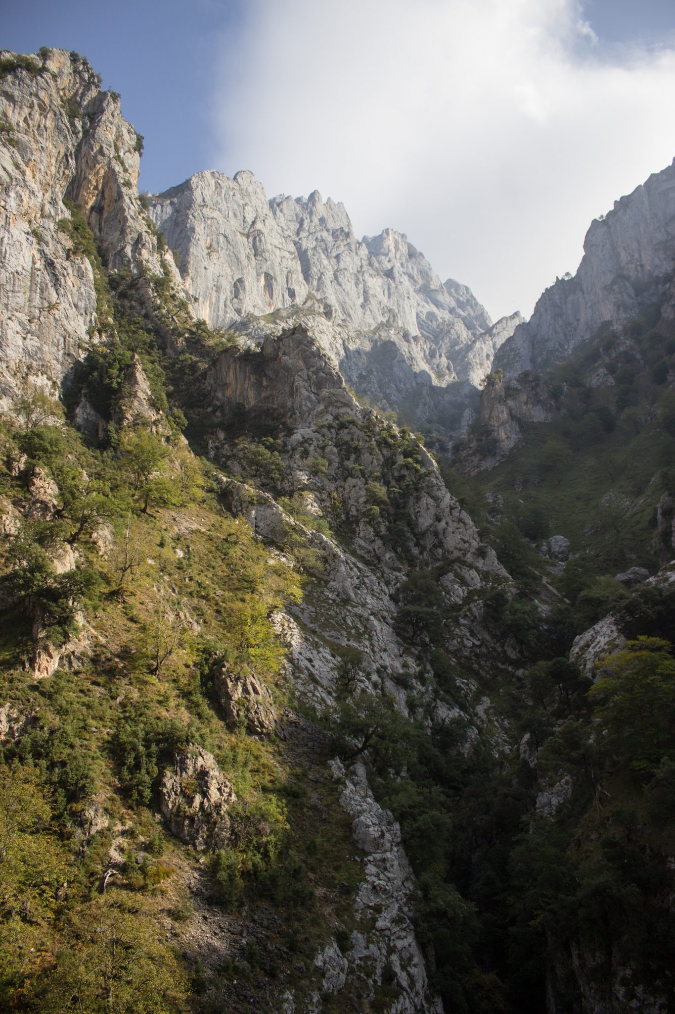 Ruta del Cares wandern in den Picos de Europa, Wanderung durch die göttliche Schlucht im Nationalpark Picos de Europa im Norden von Spanien, schmaler Wanderweg durch die Schlucht im Cares Tal, atemberaubende und abwechslungsreiche Aussicht, steile Felswände, tiefe Schlucht mit Fluss Cares