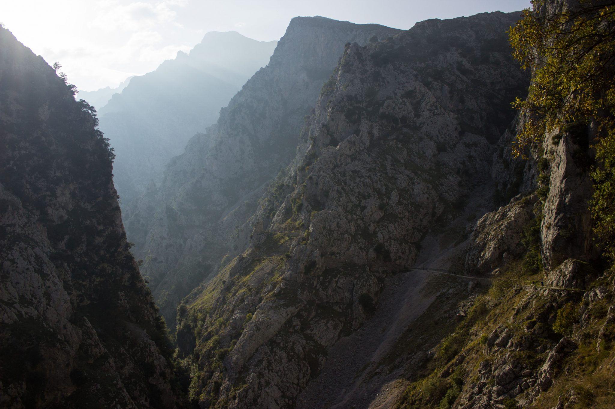 Ruta del Cares wandern in den Picos de Europa, Wanderung durch die göttliche Schlucht im Nationalpark Picos de Europa im Norden von Spanien, schmaler Wanderweg durch die Schlucht im Cares Tal, atemberaubende und abwechslungsreiche Aussicht, steile Felswände, tiefe Schlucht mit Fluss Cares